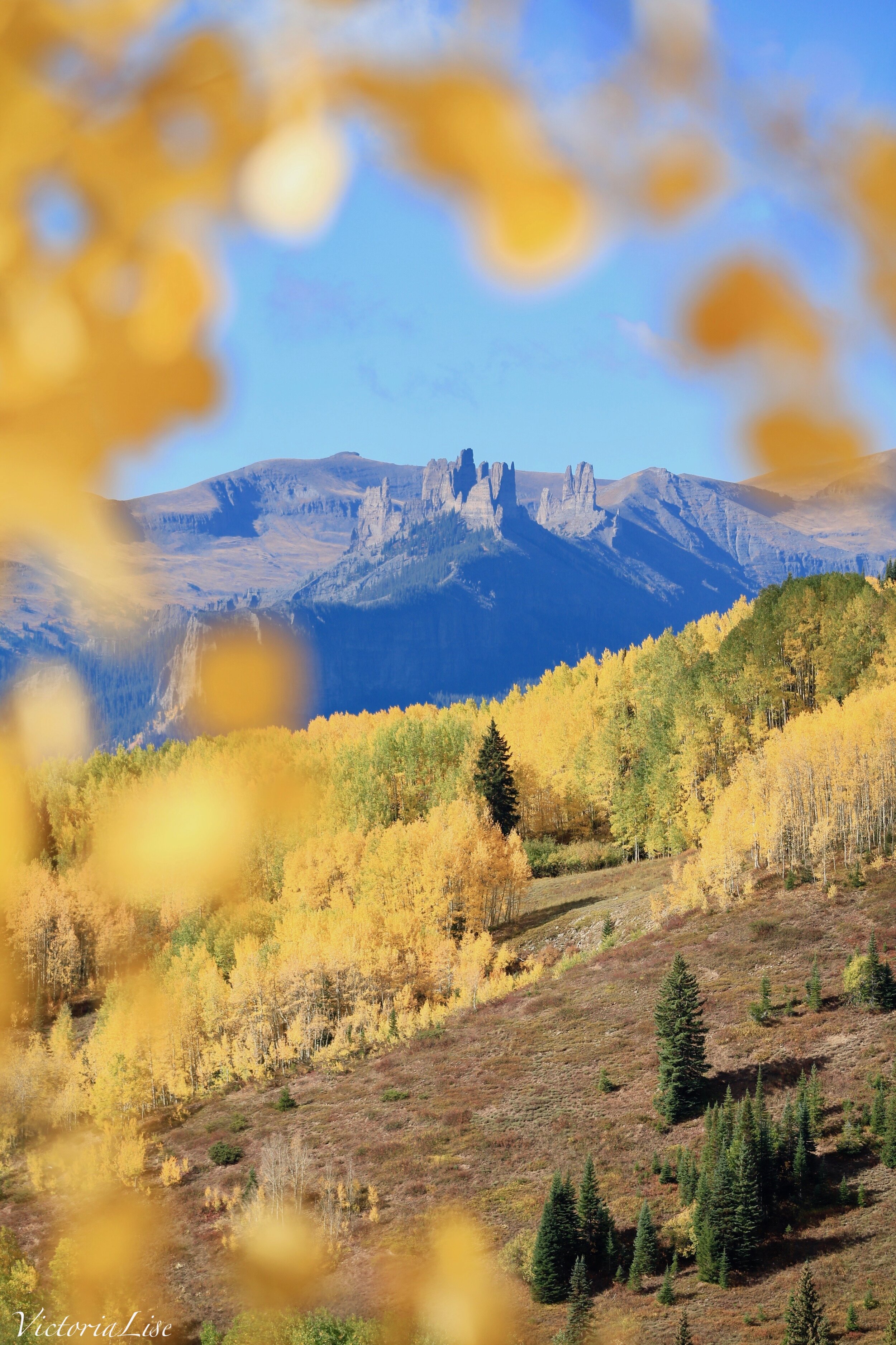 Frames of Fall in Colorado
