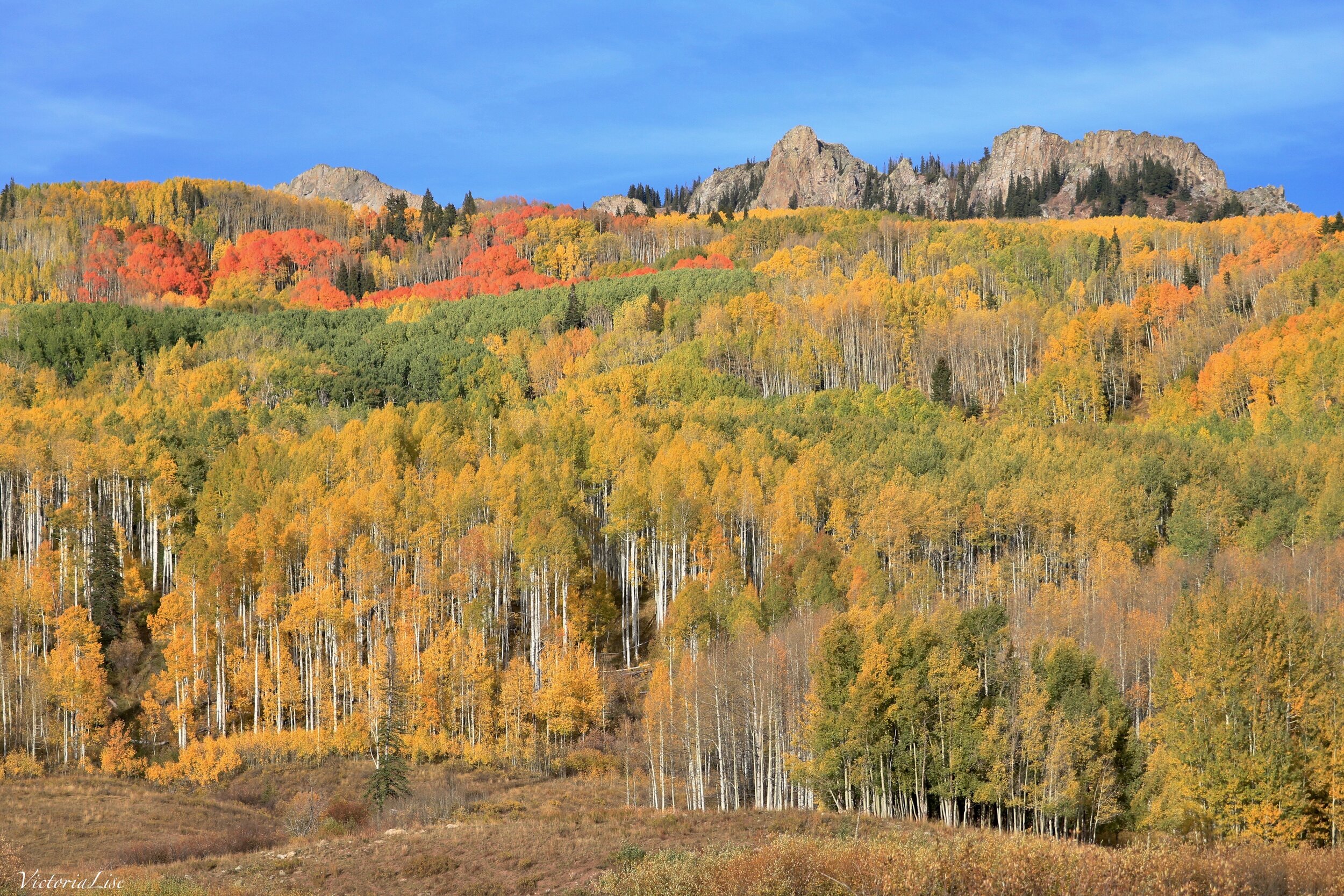 Autumns Aura