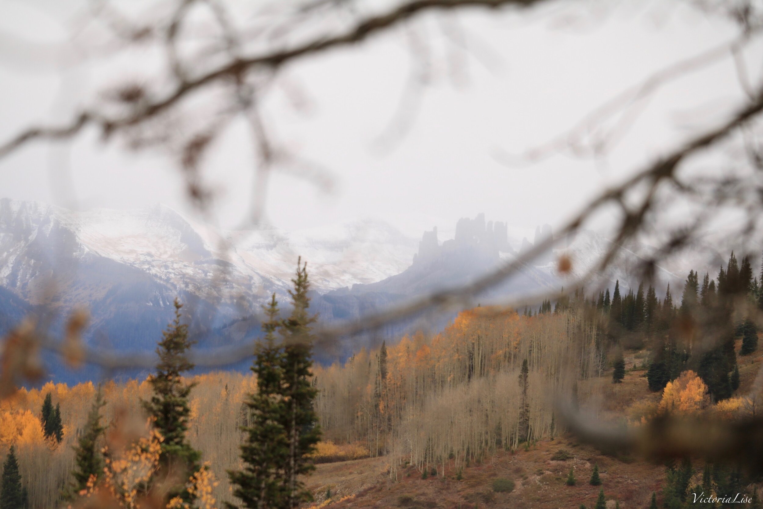 The Dance Between Seasons