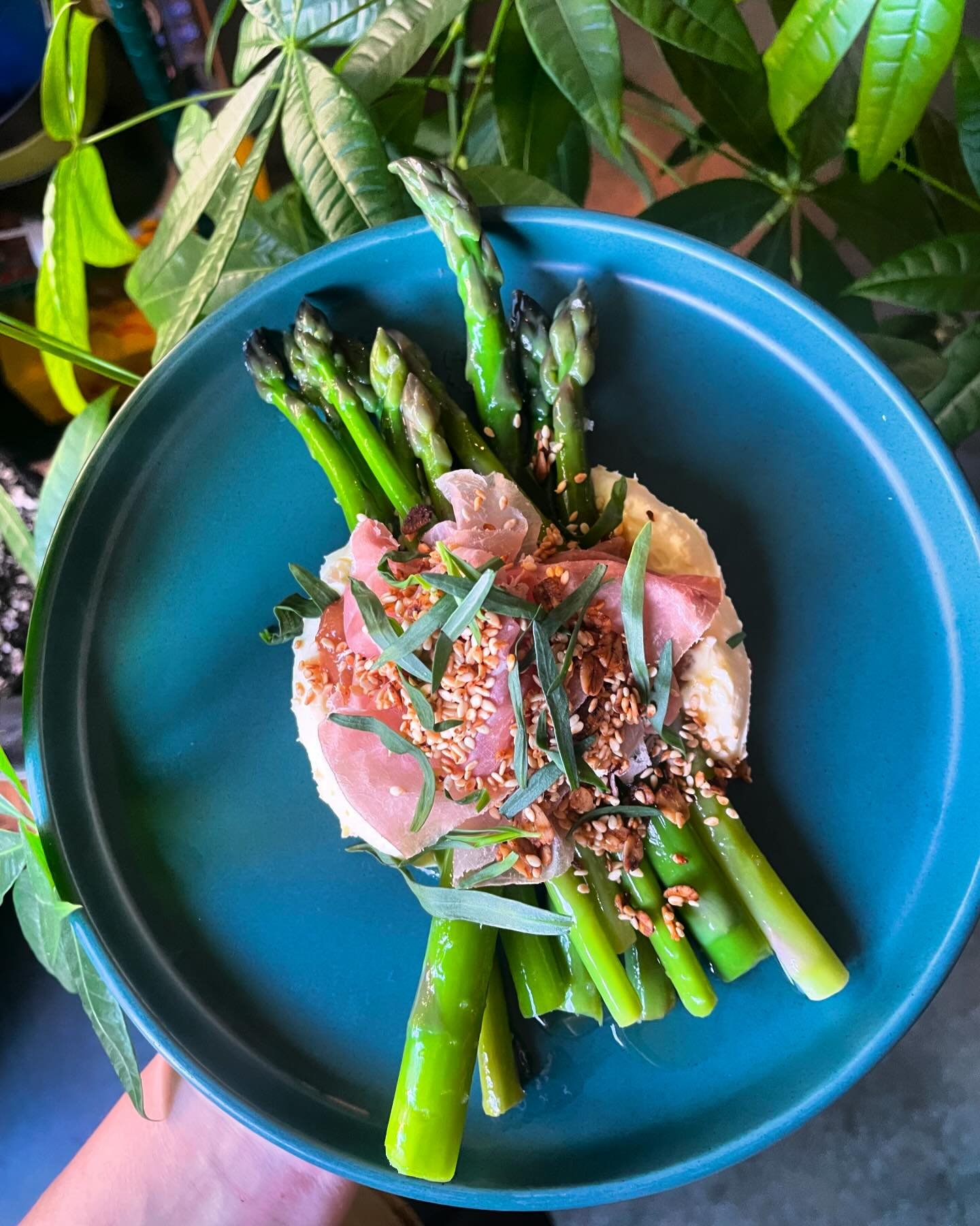 Seating 4-10 Friday - Saturday, 4-9 Sunday!

📸 Asparagus new on the menu today 🌱
Parmesan pudding, orange rhubarb marmalade, country ham, sesame granola, tarragon 🥳