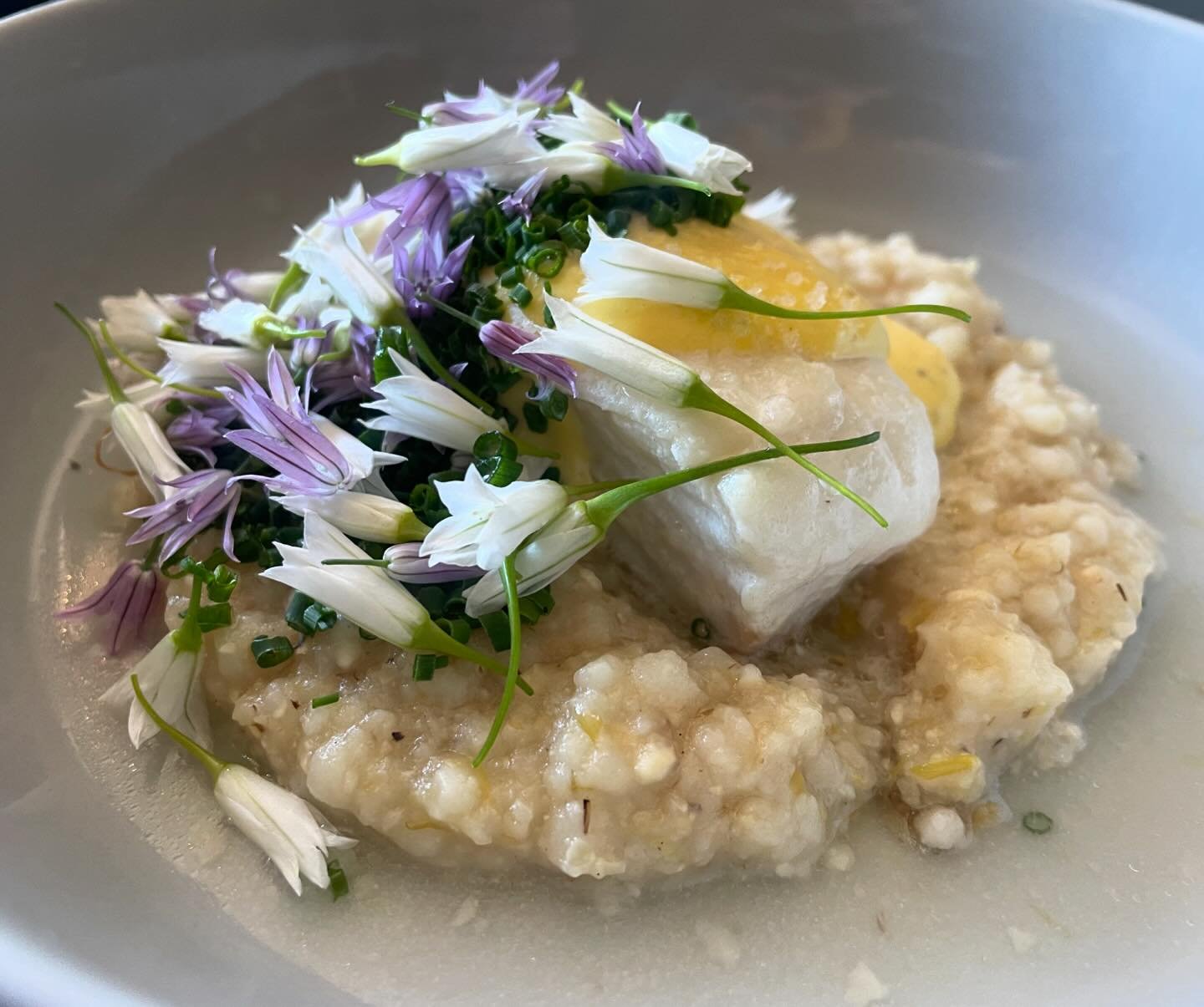 Seating 4-10 today 🌞! 

📸 New Halibut on the menu this weekend 🌿
Butter-Coconut poached, savory lemon black truffle curd, charred scallion @ansonmills grits 🌸 

Plus Mark&rsquo;s free wine tasting 4-5!