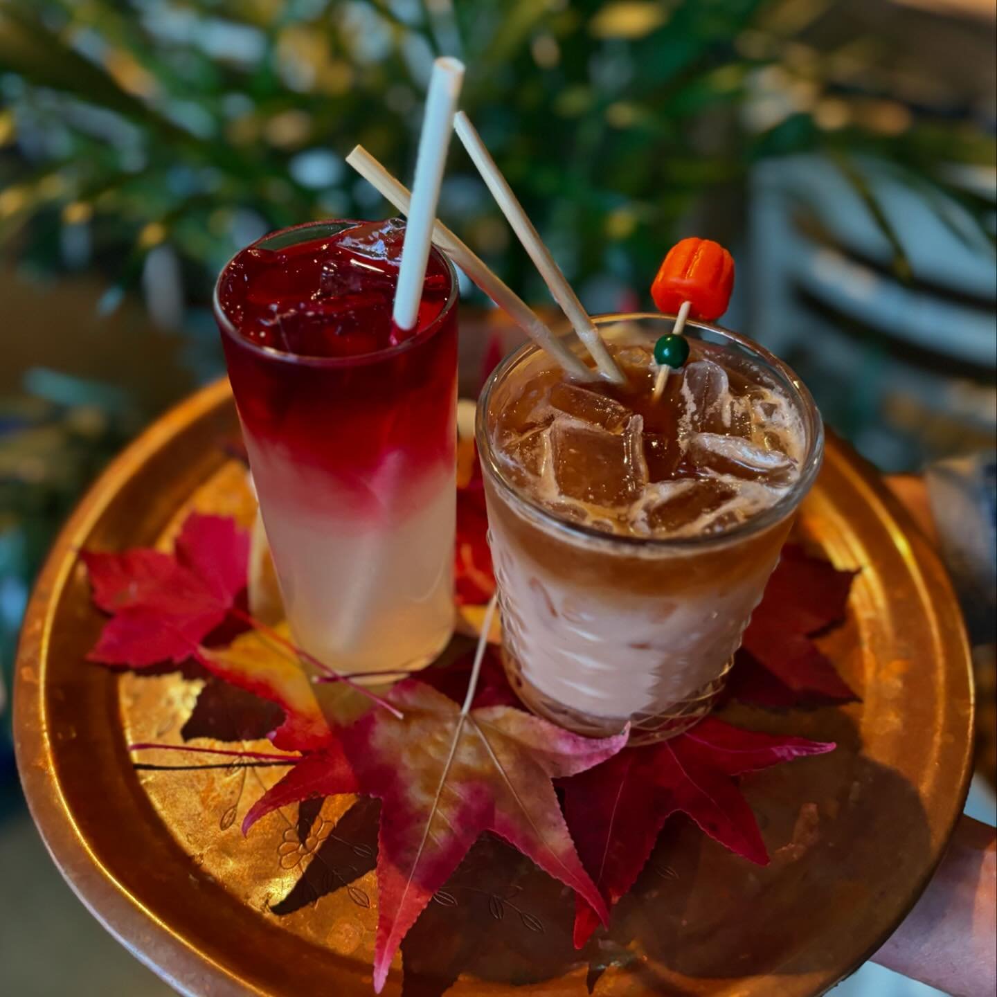 🎃 STARTING TODAY 👻

Spooky drink specials available through Halloween! 

💀 Vampire&rsquo;s Kiss 💀
hibiscus syrup, house made lemonade (non-alcoholic, but could be tasty with an added shot!😈)

🍬🌽 Candy Corn Killa 🌽🍭
Appleton Eatate rum, cocon