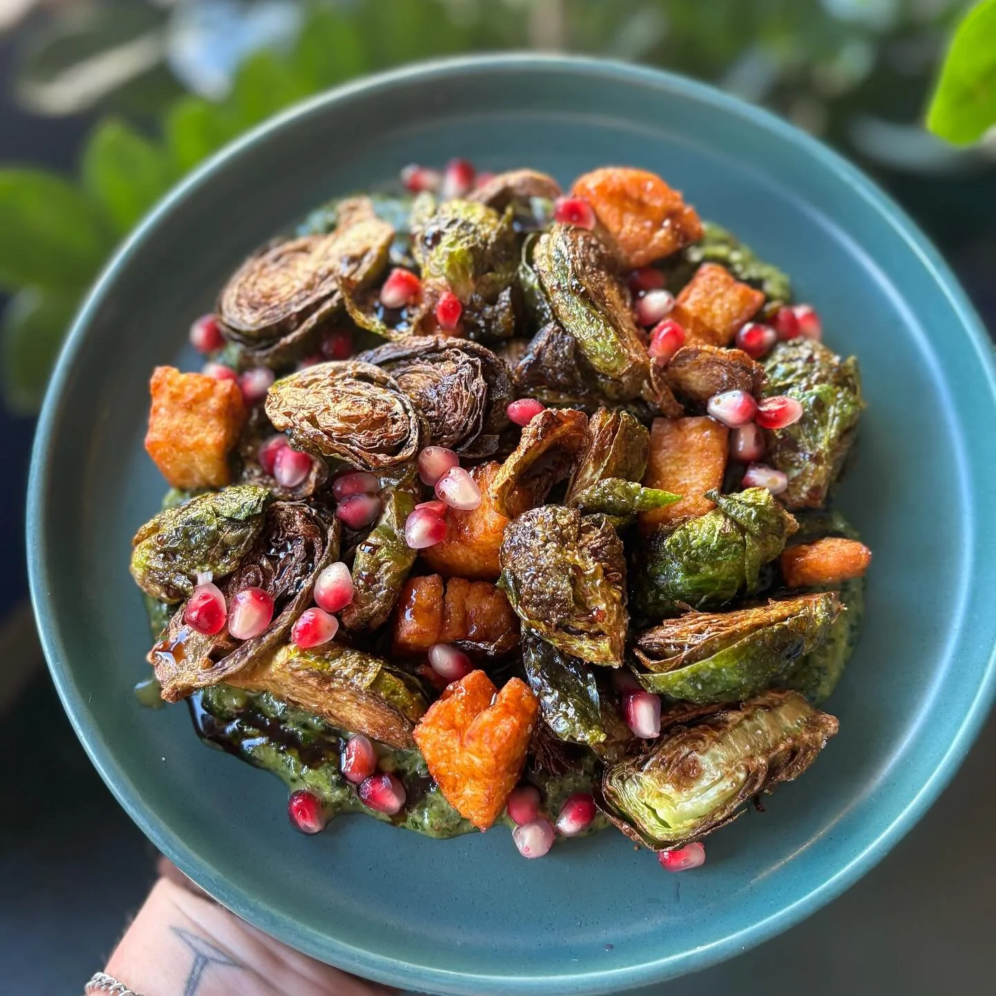Brussels are back 🥳 
Fried brussels sprouts, pomegranate seeds, fried halloumi, schug, &amp; pomegranate molasses 💁🏻&zwj;♀️

They&rsquo;ll be here as long as brussels and pomegranate seasons collide so don&rsquo;t miss em! A lot of us wait all yea
