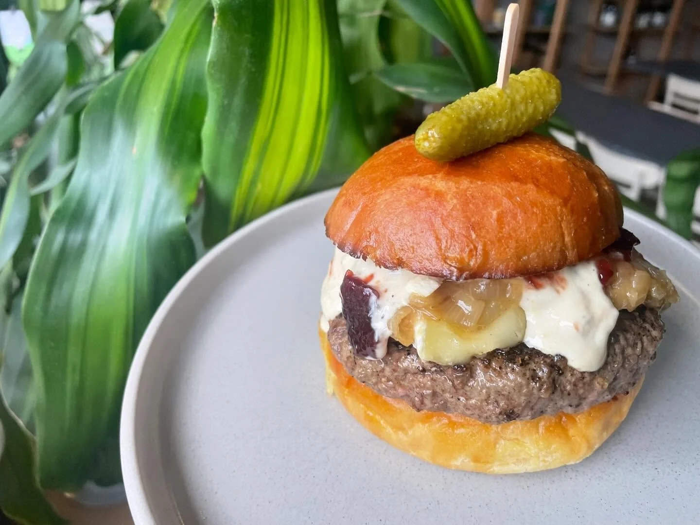 💝 The drippiest &amp; most decadent special burger for a lovely lover&rsquo;s weekend 💁🏻&zwj;♀️
❤️ br&ucirc;l&eacute;ed brie
🧡 caramelized onion
💛 Oregon white truffled country ham aioli
💚 @plantetjanet Santa Rosa plum jam 
💙 @fairvalleyfarm b