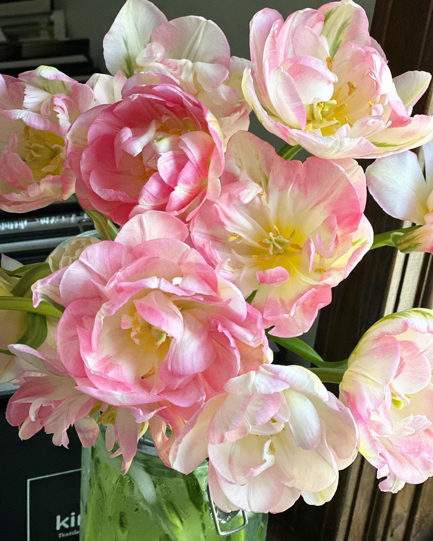tulips 2.jpg