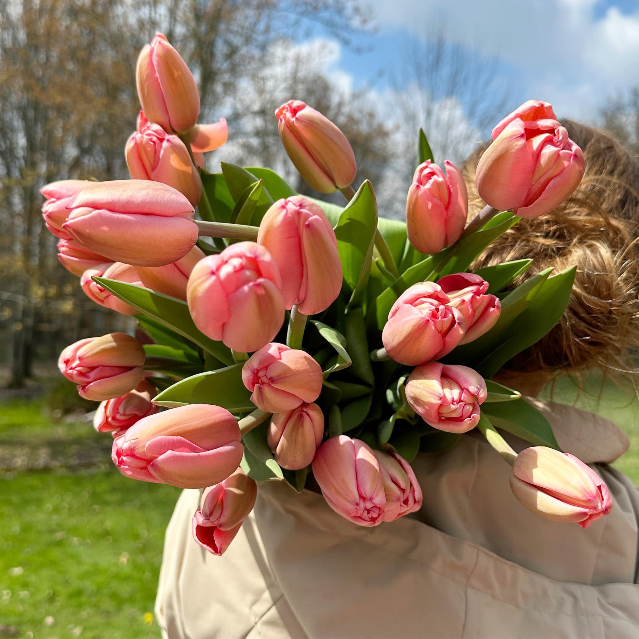 tuliips.jpg