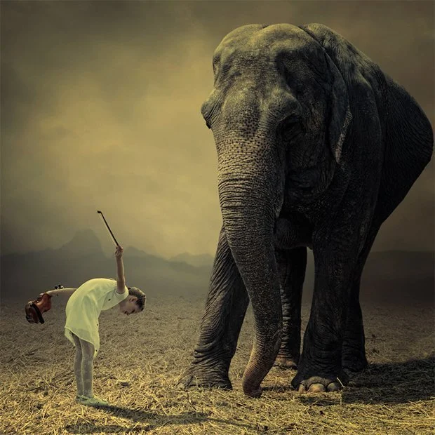 caras-ionut 2 copy.jpg
