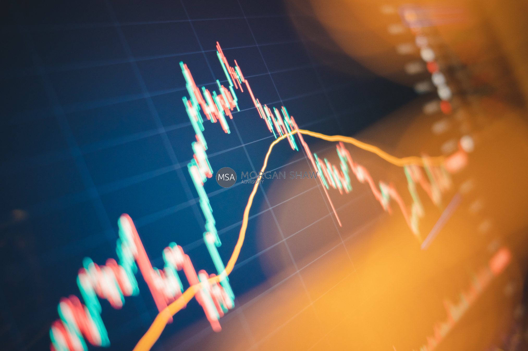 Risk vs growth: what ANZ and Canva reveal about leadership in uncertain markets