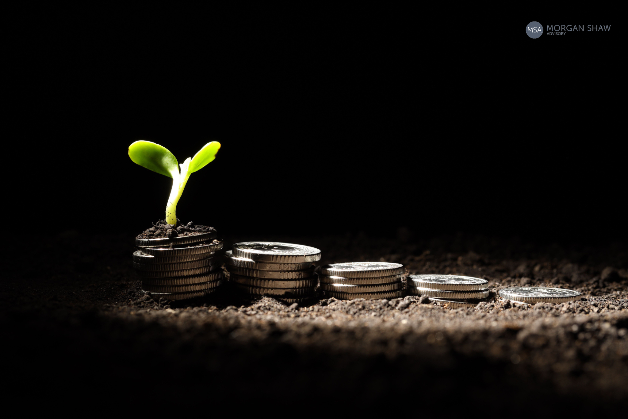 EVP takes action amid concerns over recent investment - WATCH THIS SPACE ...