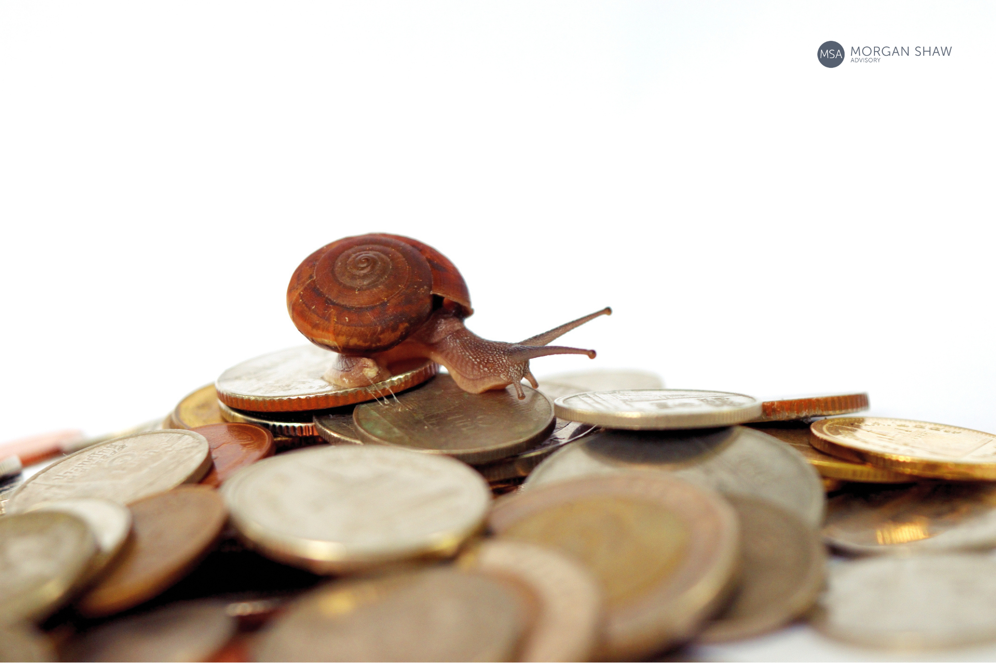 Australia’s economic recovery is slow and uneven but full of risk and opportunity