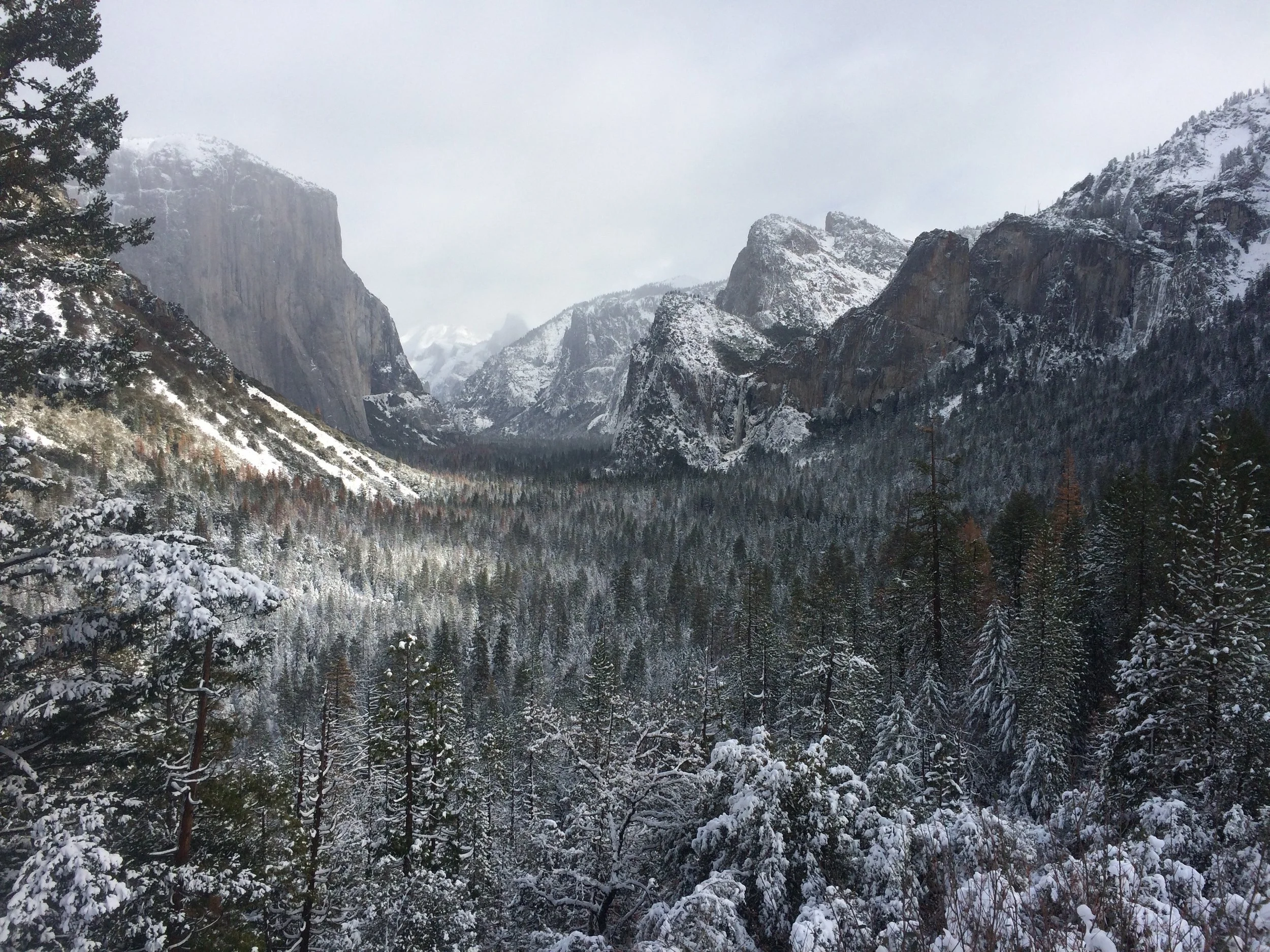 snowyyosemite.JPG