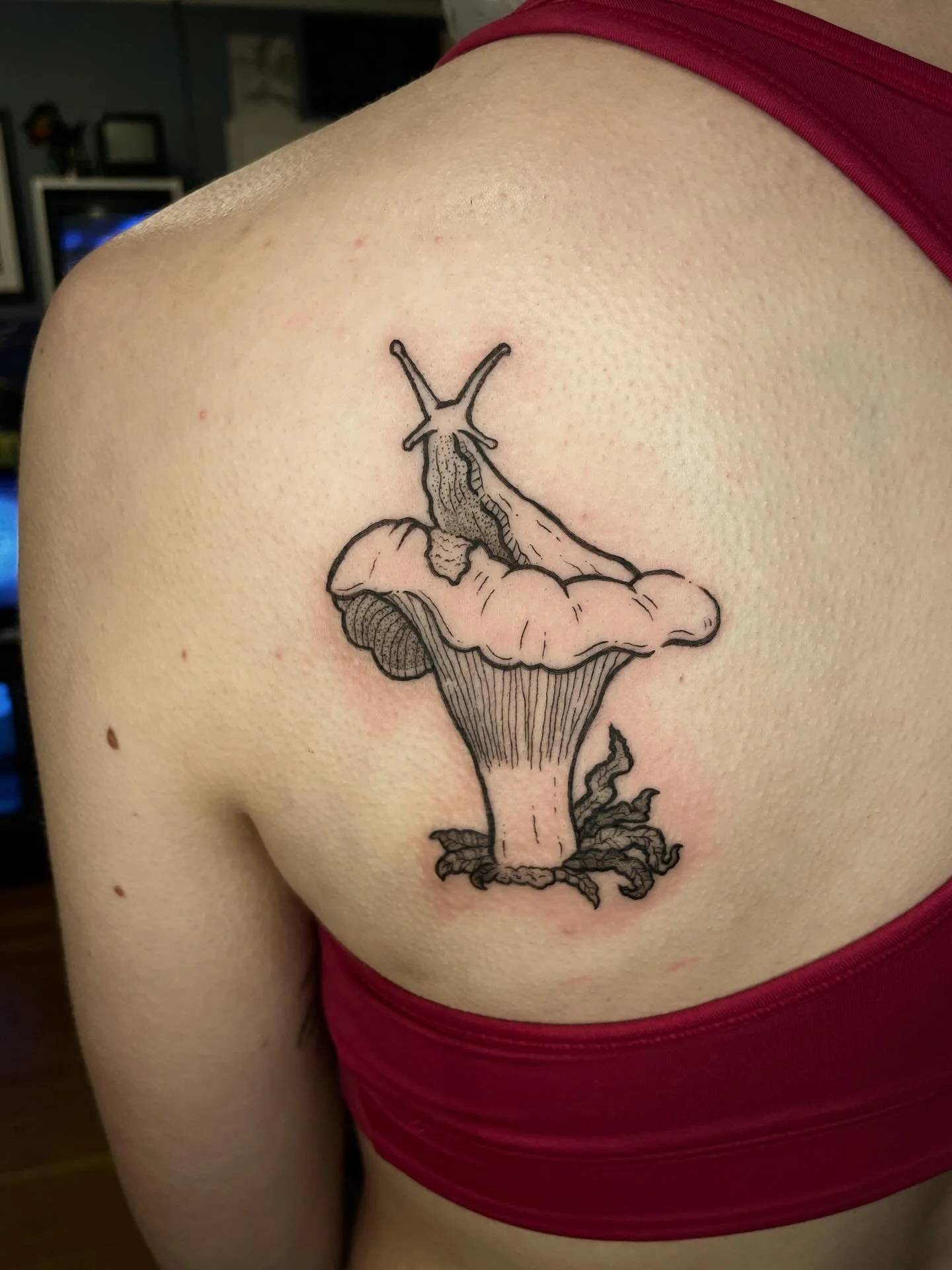 To the tune of the Out of the Box theme song: Slug on a shroom, slug on a shroom! 🥰