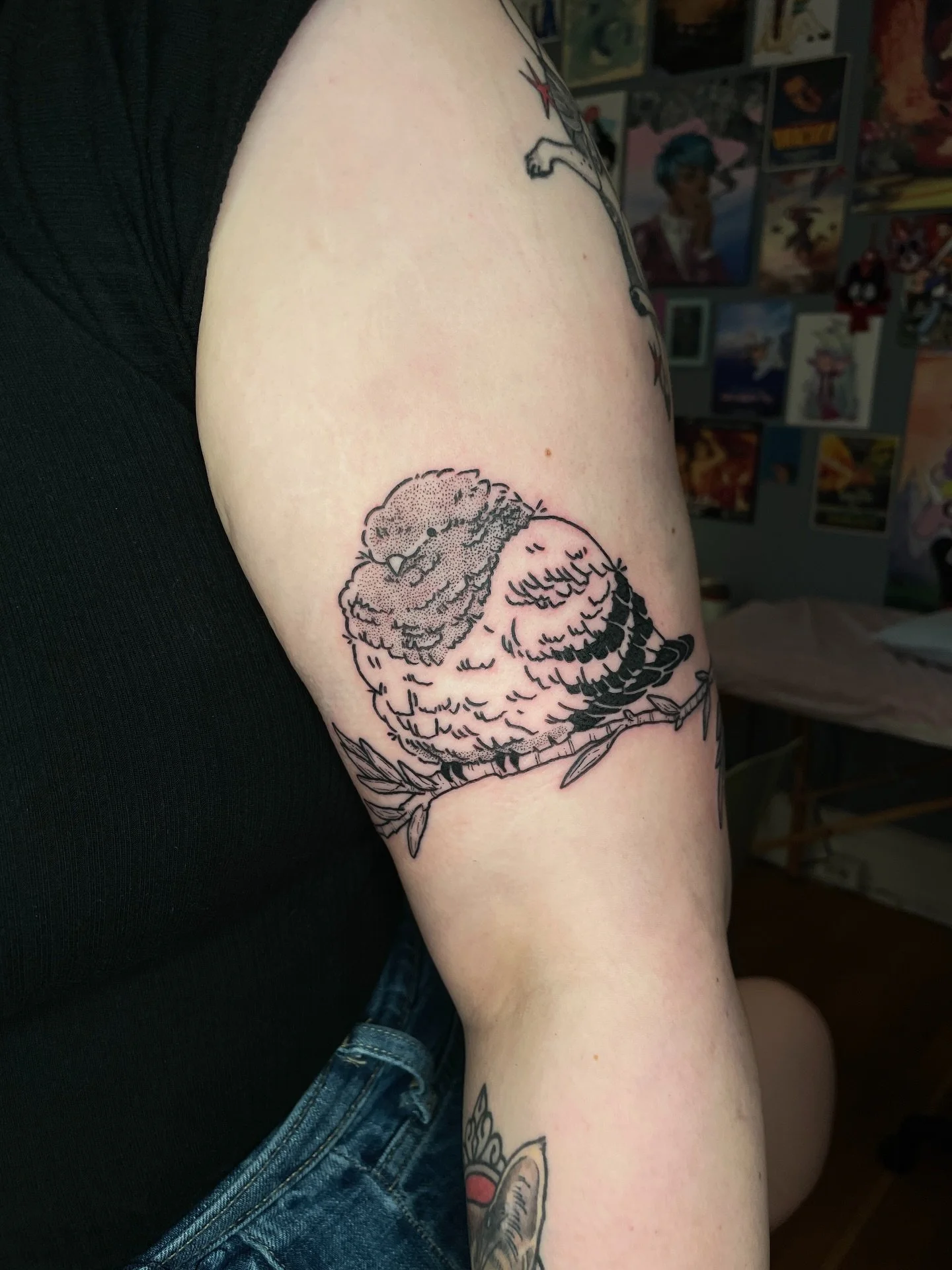 Plump lil pigeon from my flash for Corynn! I placed the stencil first, then freehanded branch that wraps all the way around her arm. We listened to the newest season of Dungeons and Daddies while I tattooed, it was a blast! Thanks Corynn you were a d