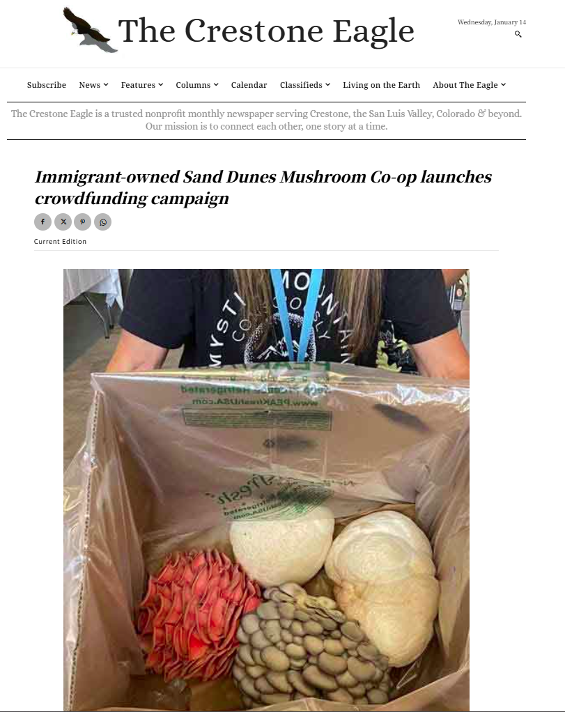 The Crestone Eagle Article
