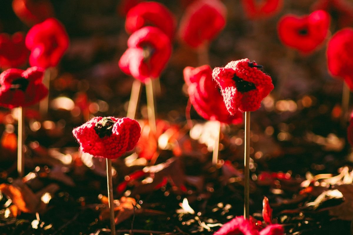 To mark Remembrance Day on Tuesday 11 November, there will be two local services held across Hobsons Bay in honour of those who lost their lives while serving:

📍 Spotswood RSL (59 The Avenue, Spotswood), beginning at 10.30am
📍 Altona Cenotaph (out