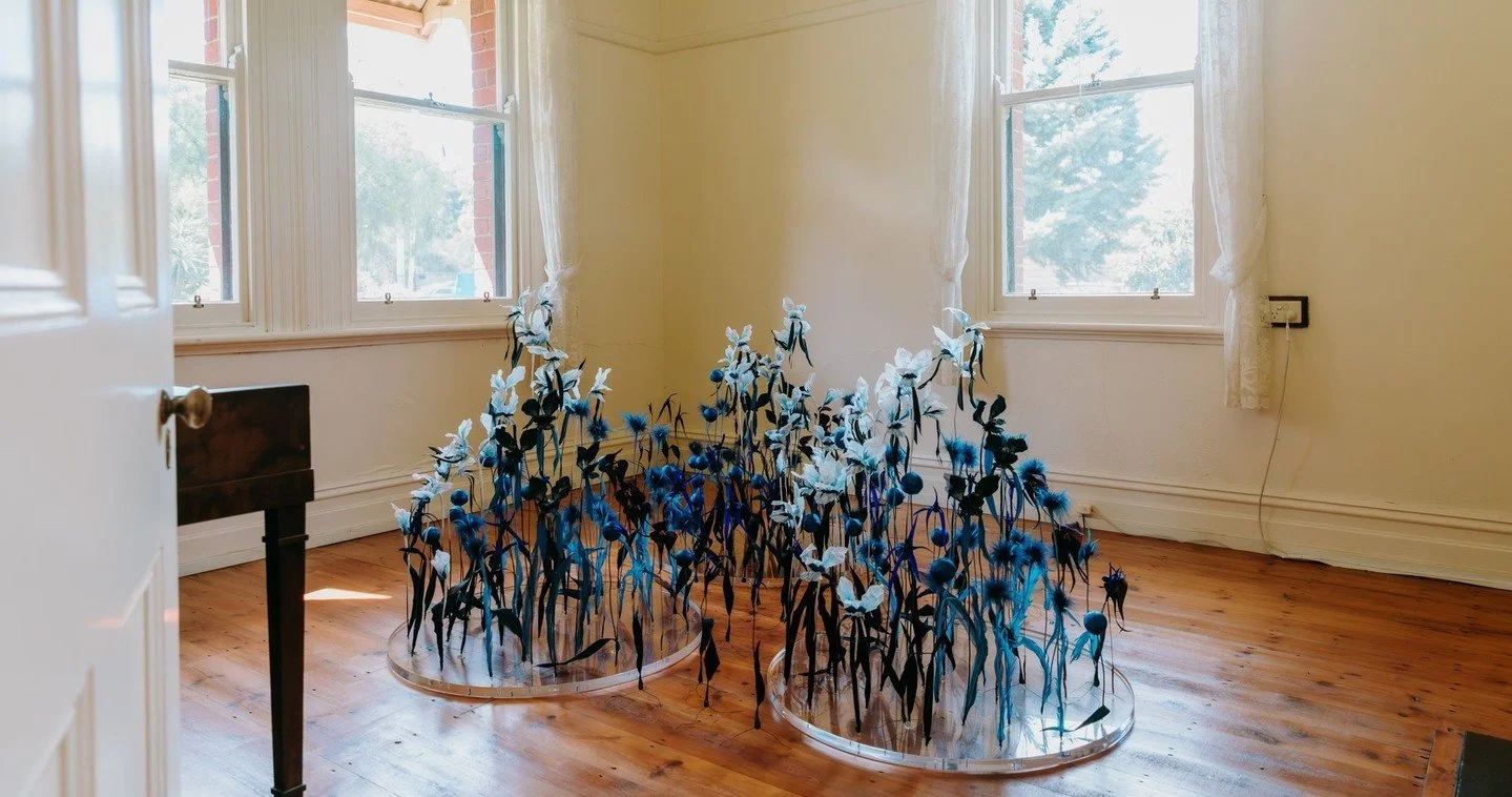 &lsquo;Nature is stronger than we are.&rsquo; - Agnes Denes 🌼⁠
⁠
Artist Angelique Joy (@angeliquejoy.creative) has created a wildflower field that blooms inside one of the heritage buildings at Truganina Explosives Reserve, as part of Dear Agnes, en