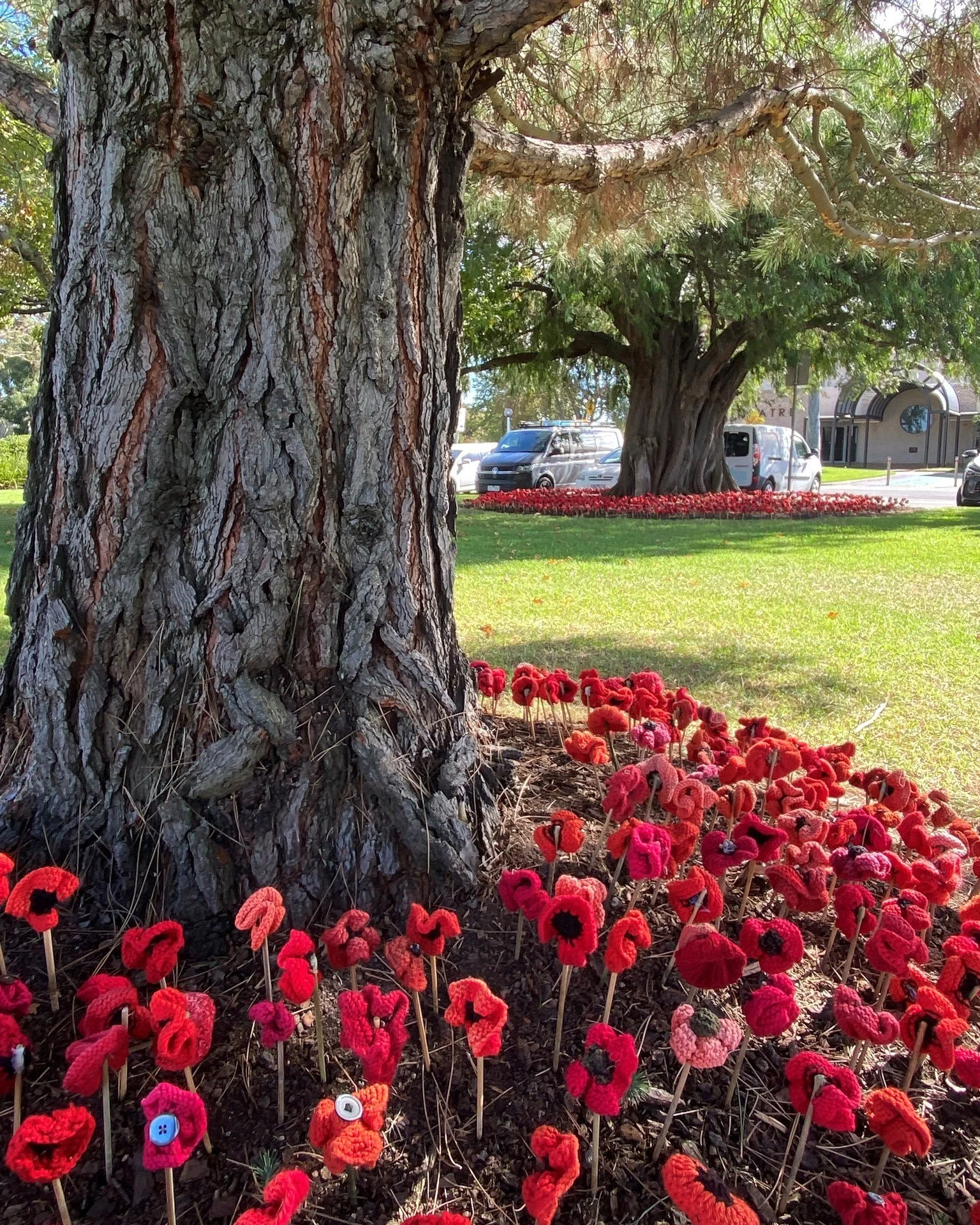 There are several ANZAC Day events and services happening across Hobsons Bay this Saturday 25 April. Find event details below 🌅

Altona RSL marching to Civic Centre (115 Civic Parade, Altona)
5.30am-7am

Williamstown Cenotaph (Ferguson Street and Ne