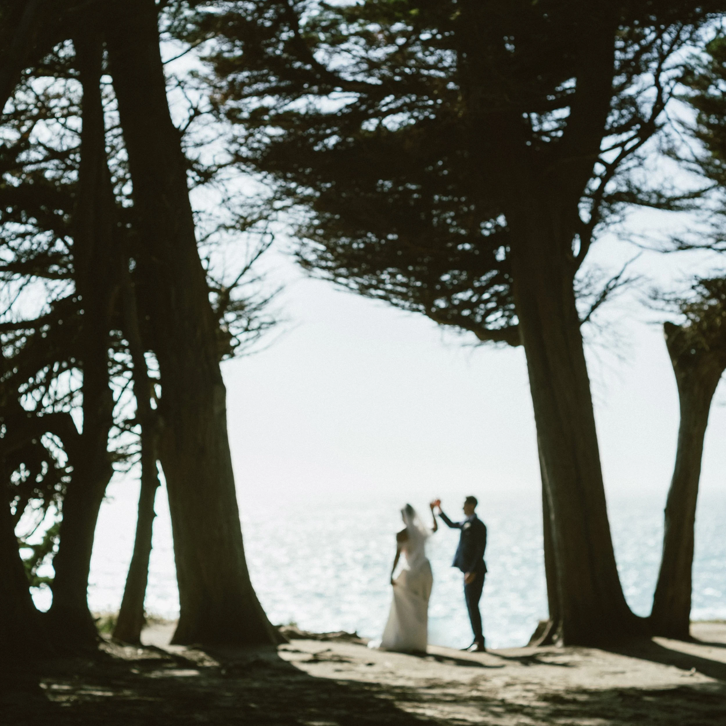 Bride & Groom Water View & Redwoods.jpg