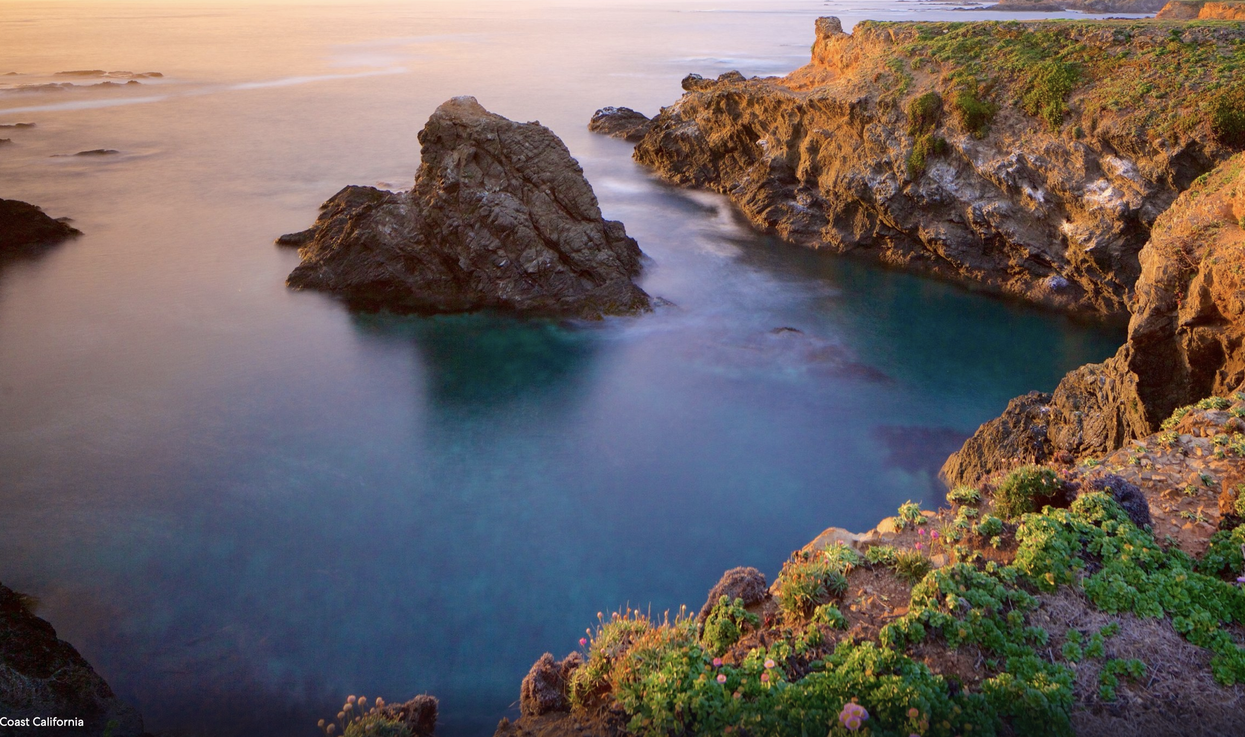 Mendocino Coast Fensalden.png
