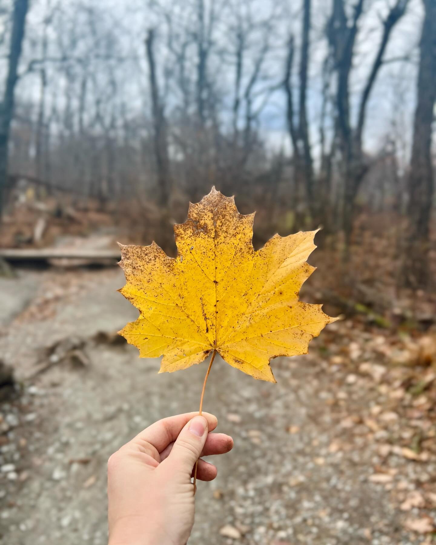 Recruiting landed us in beautiful Charlottesville, Virginia, this week! We enjoyed meeting up with a few other fellows programs and spending an afternoon @studycenteruva. We also snuck in a couple recreational activities as well! 🍂🍁🍂 #wahoowa