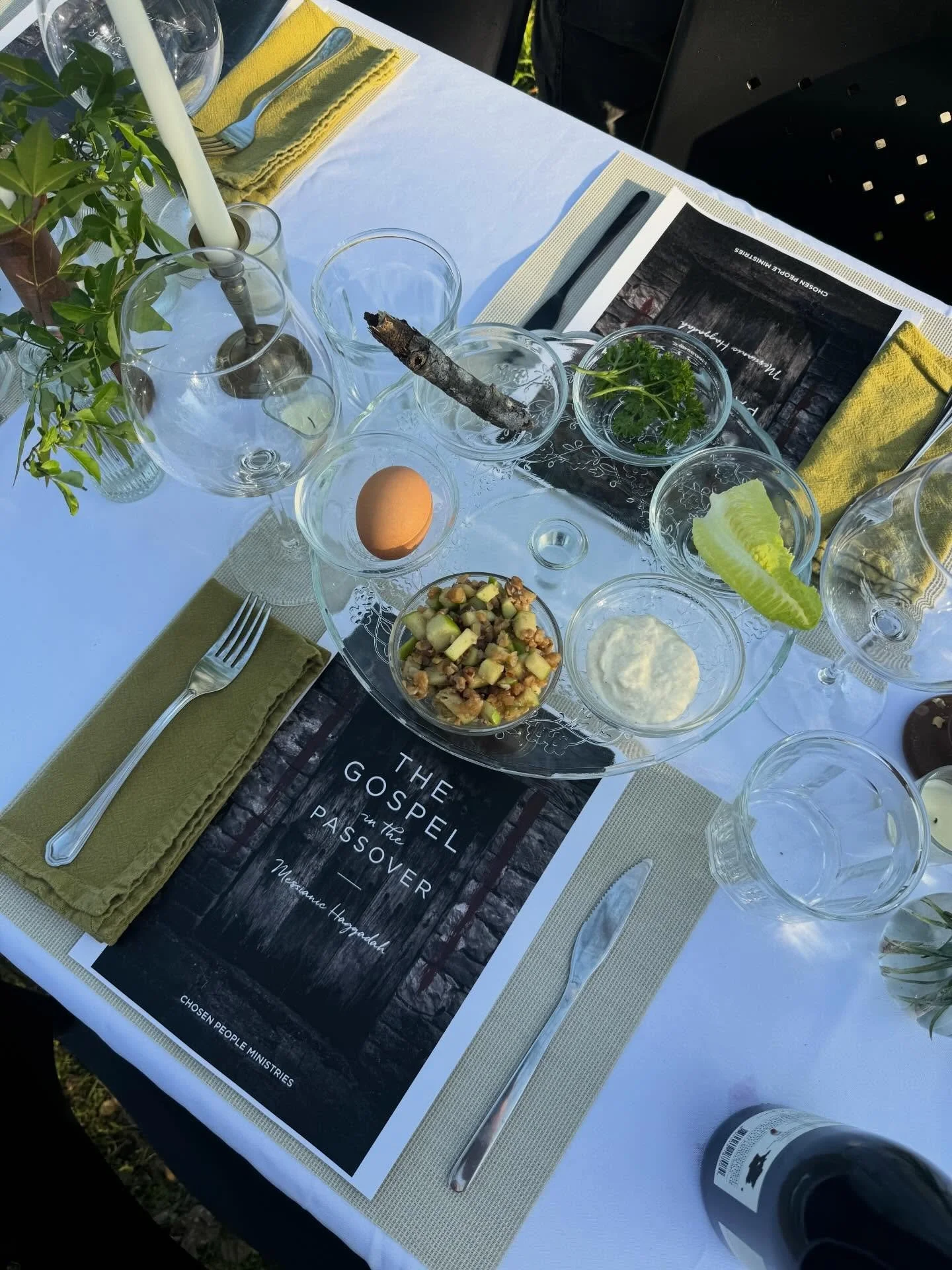 ✨About last night ✨

In place of Roundtable week, our fellows participated in a traditional Passover Seder, and what a gift it was!