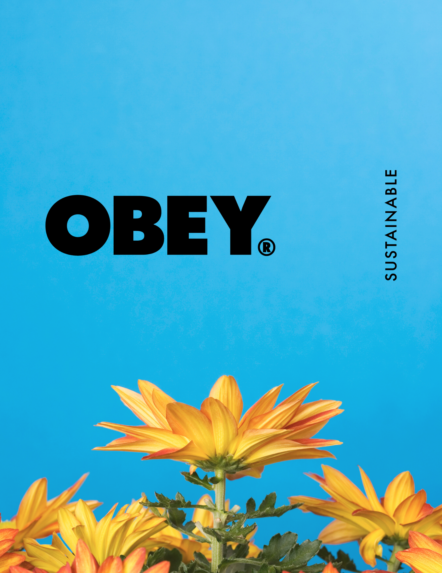 Copy of sustainable collection.png