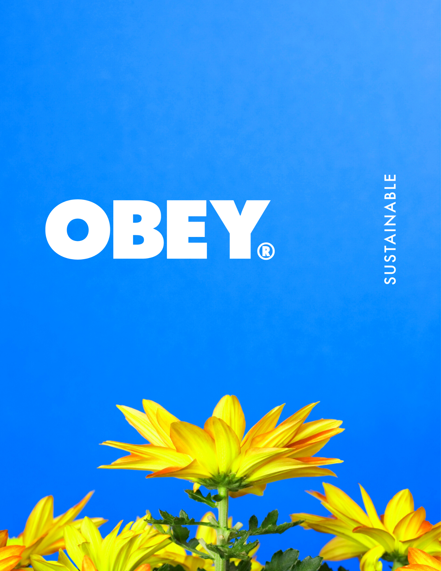 Copy of sustainable collection (2).png