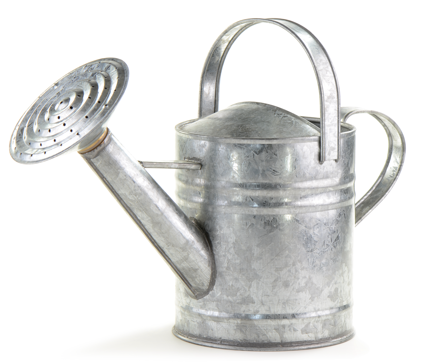 Screenshot 2024-01-14 at 1.11.36 PM.png