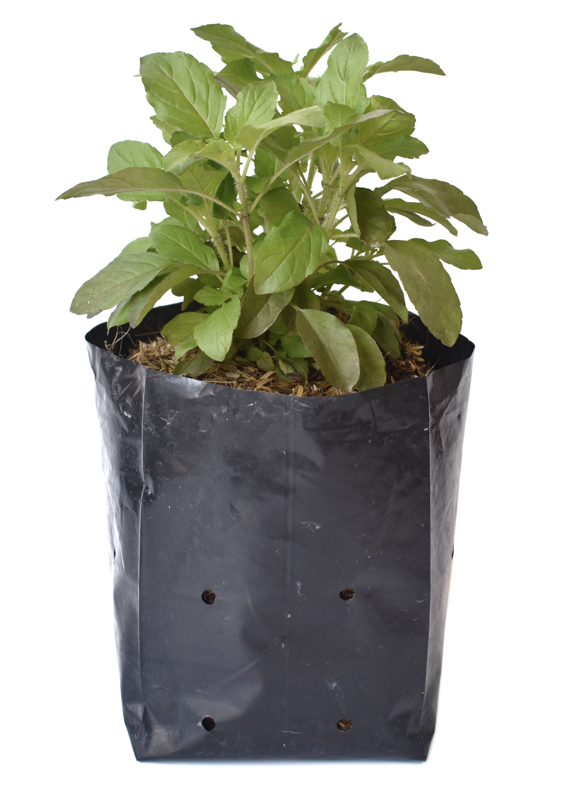 Screenshot 2024-01-14 at 1.11.54 PM.png