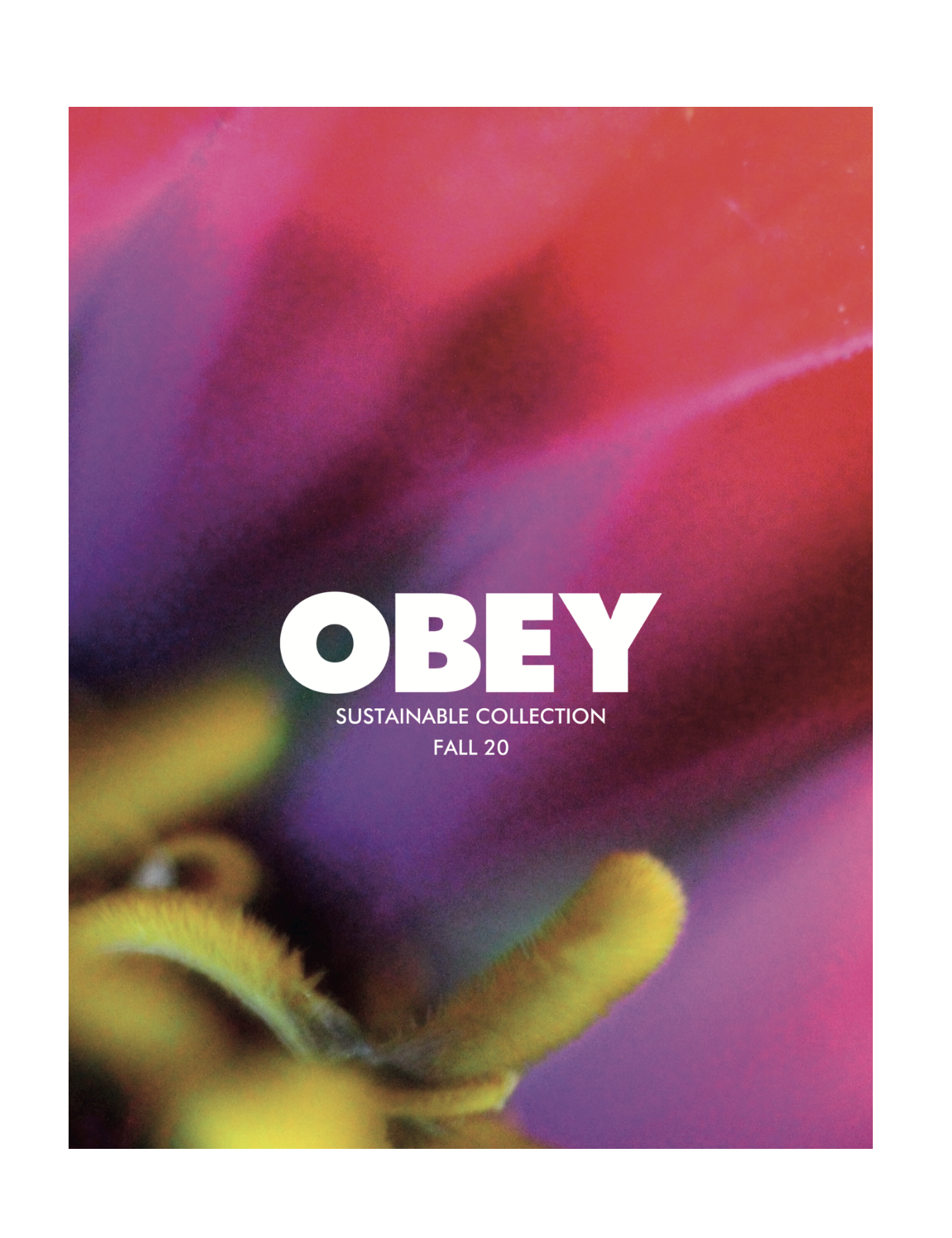 Screenshot 2024-01-07 at 10.19.25 PM.png