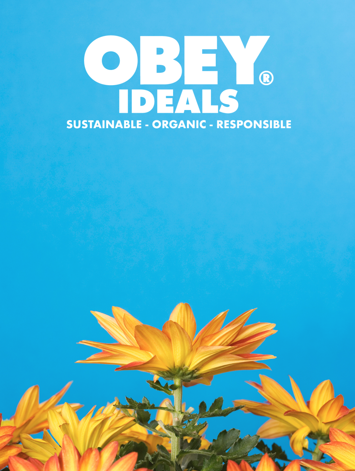 Screenshot 2024-01-07 at 10.14.35 PM.png