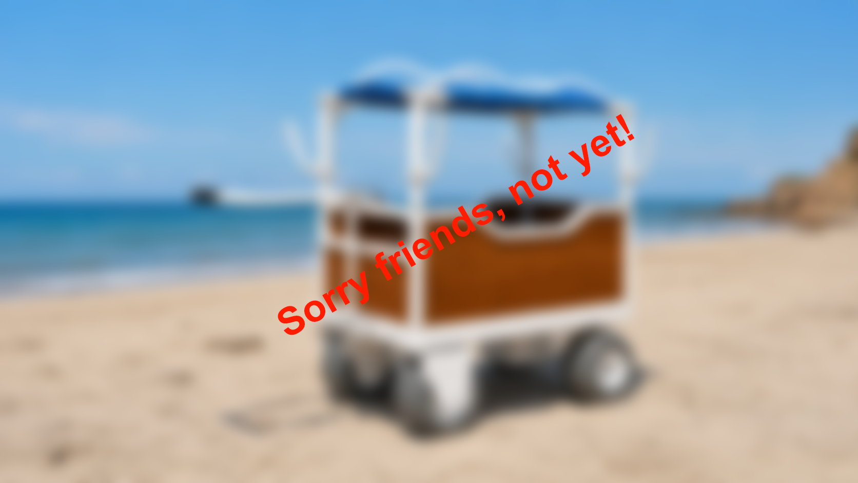 TFF-029 - Beach Kart Teaser.png