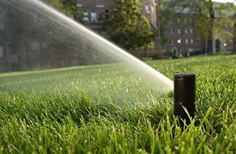 lawn sprinkler.jpg