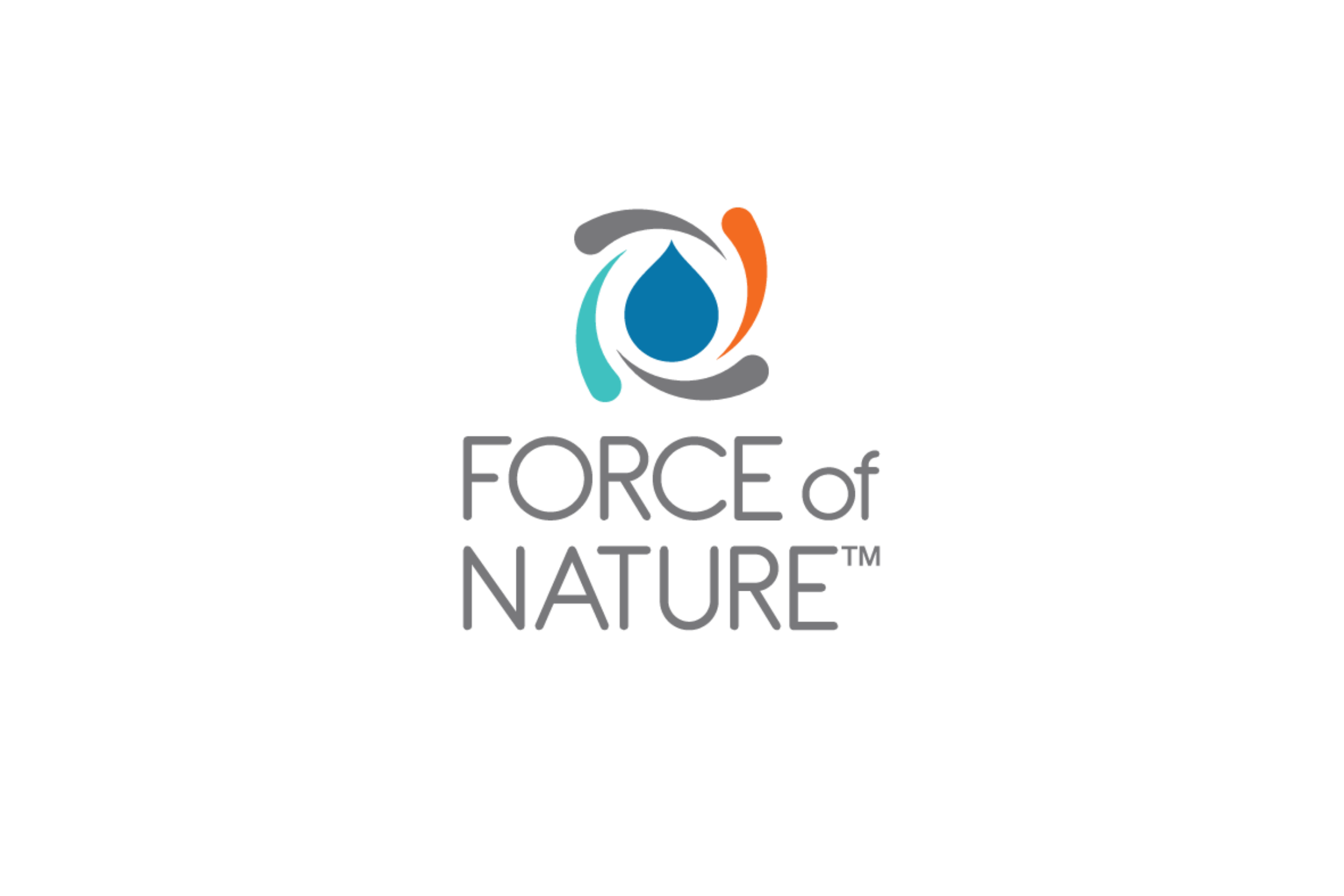 Haley Morris  Assets (6).png