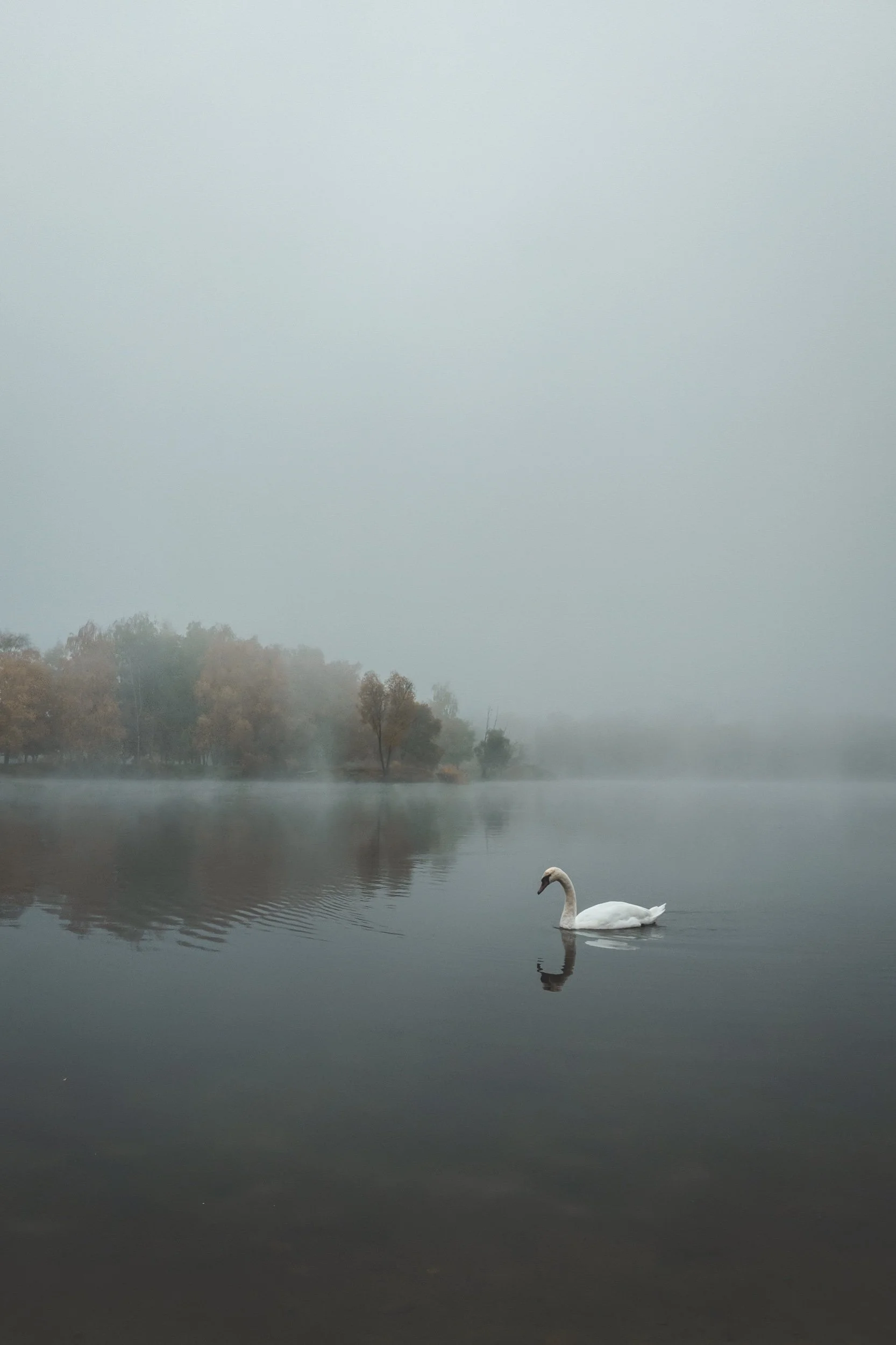 Grace evaporates shame