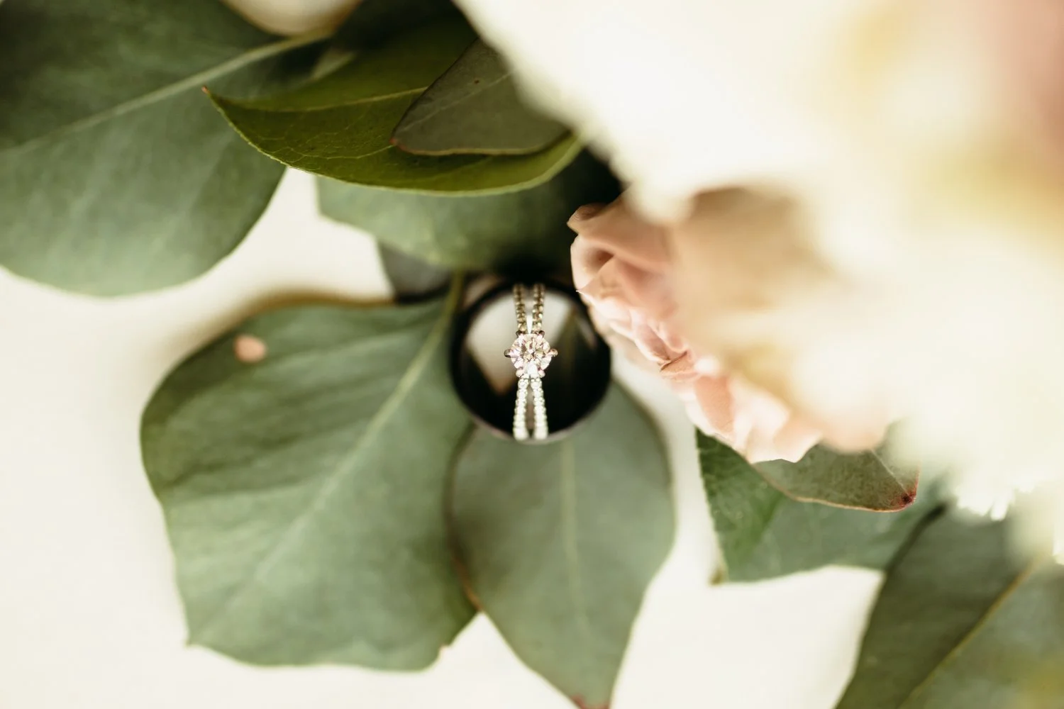 utah-wedding-ring-shot-1.jpg