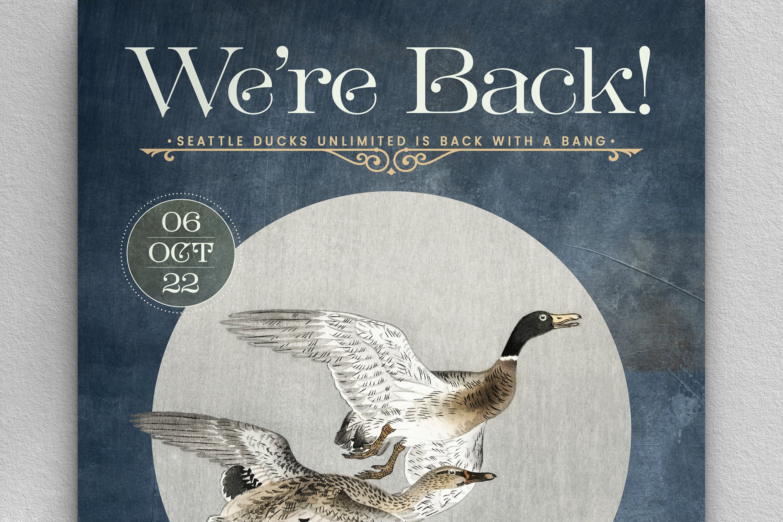 CM portfolio - AD - ducks unlimited copy_.jpg