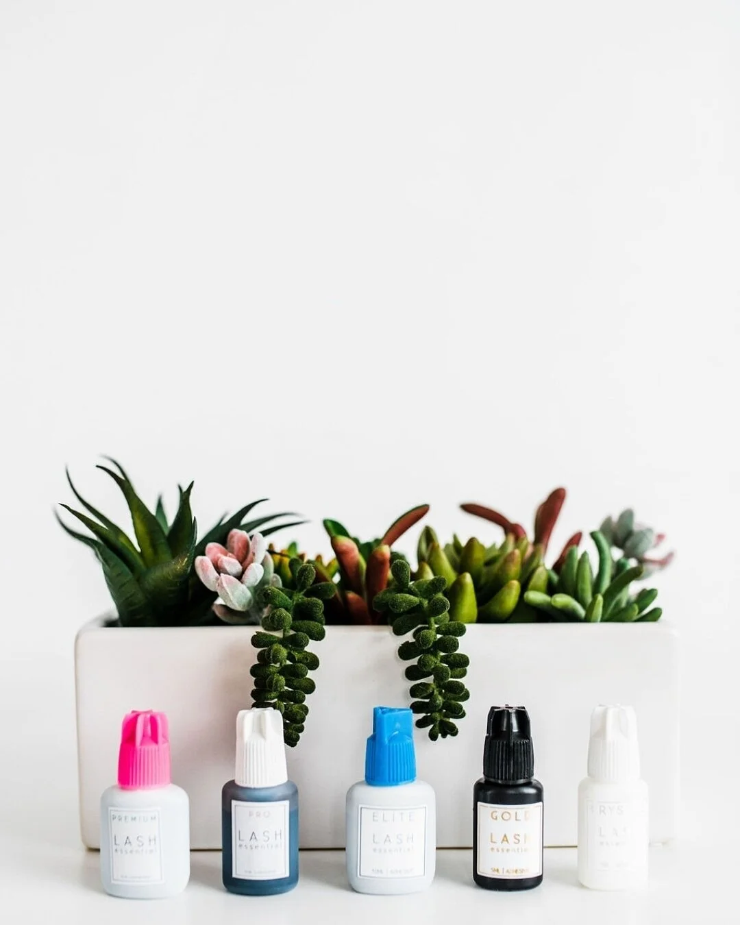 Find your perfect match