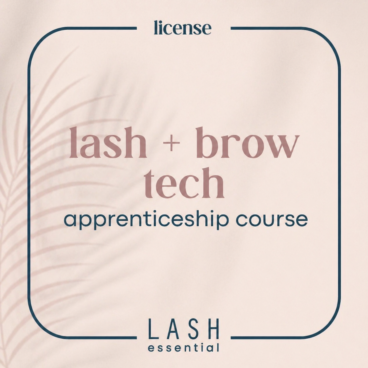 Lash and Brow Apprenticeship