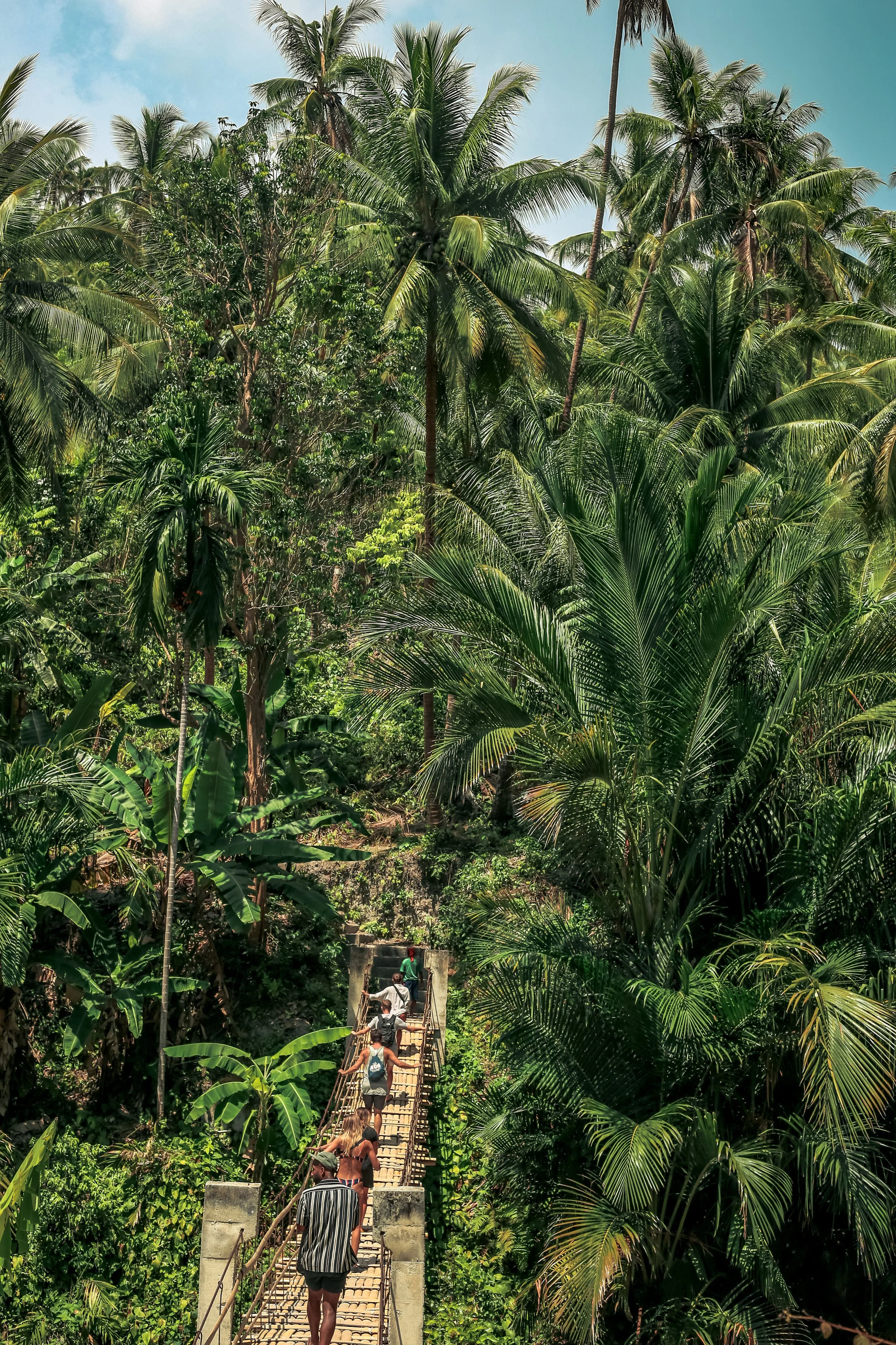 Tourists walking on a suspension bridge surrounded by dense tropical jungle with tall palm trees and lush green foliage.