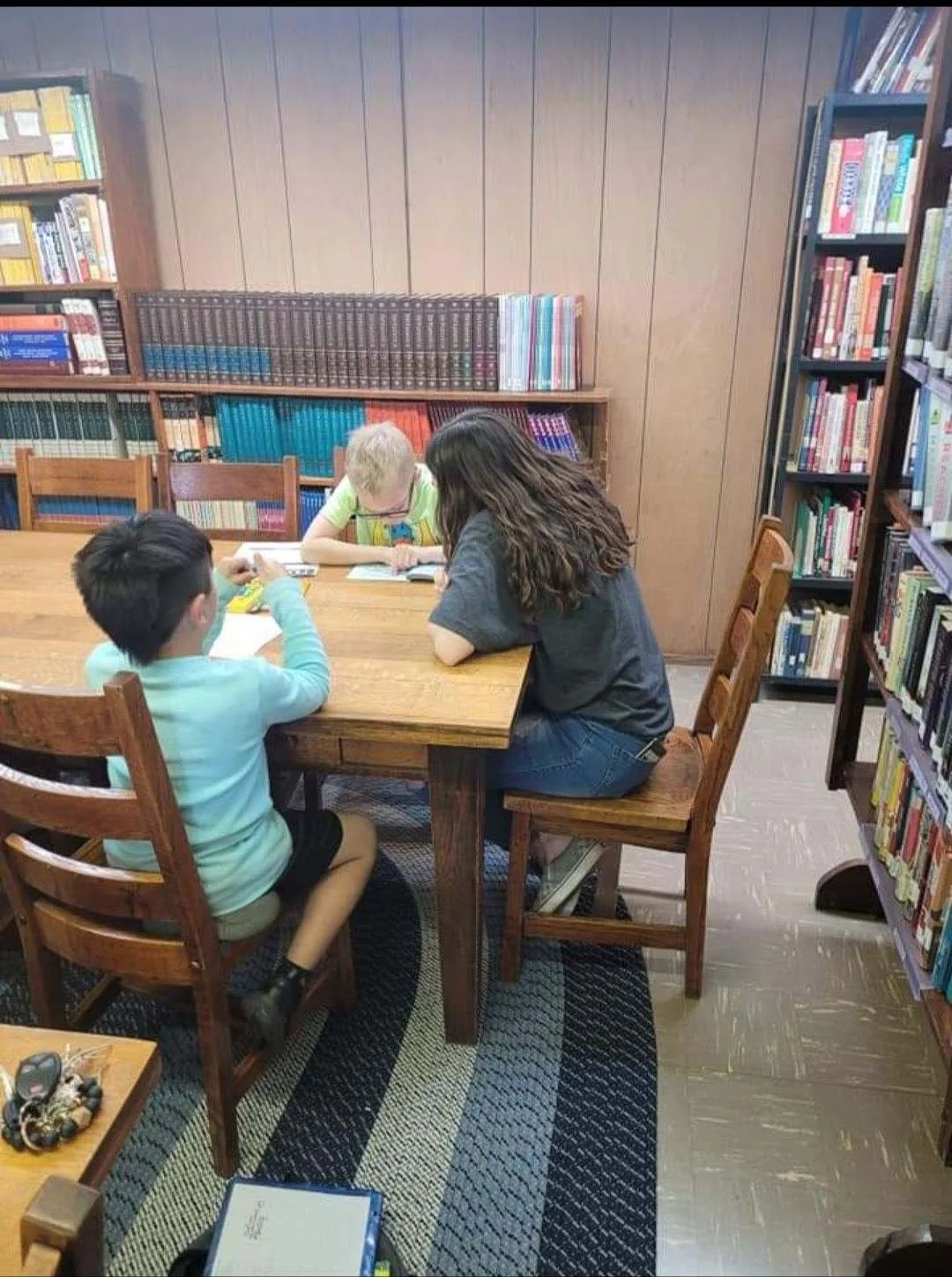 Library Brigade