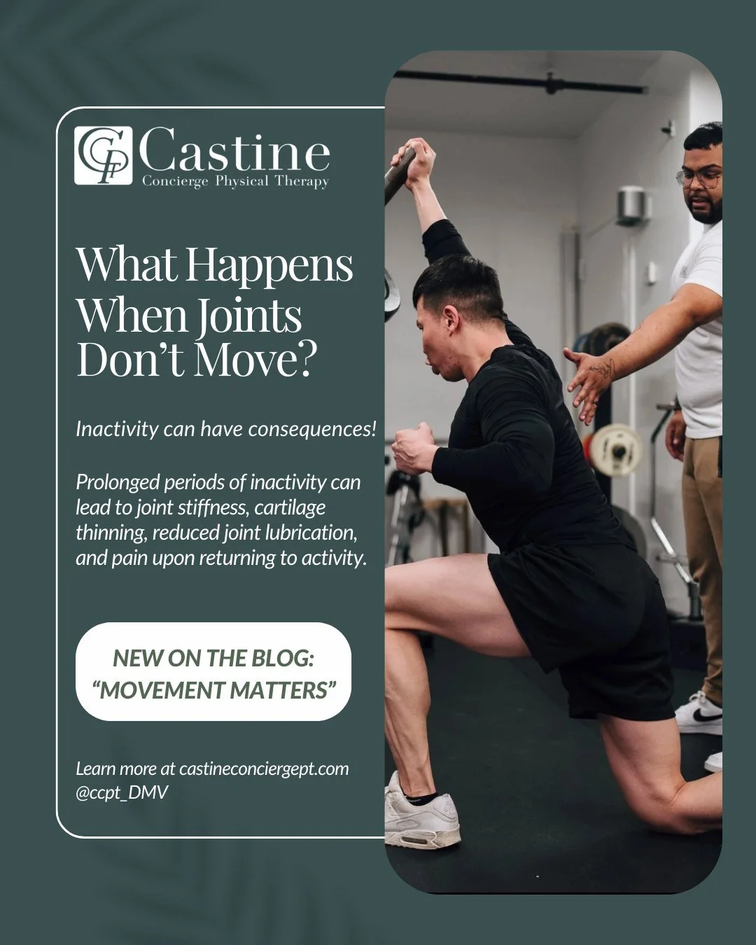 New on the blog: Movement Matters
Your joints were designed to move, and daily motion is essential for keeping them healthy, nourished, and pain-free.
In our latest blog, we break down why movement supports cartilage health, reduces inflammation, and