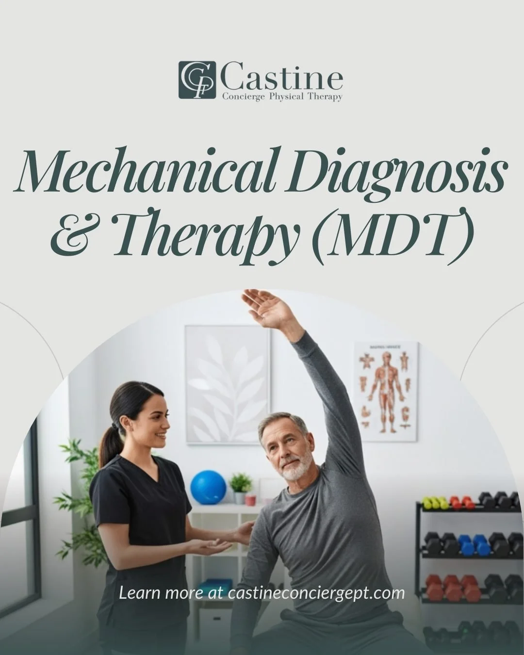 At Castine Concierge Physical Therapy, we want to help you understand the source of your symptoms so treatment can be precise and effective.

Mechanical Diagnosis &amp; Therapy (MDT), commonly known as the McKenzie Method, is a structured system of c