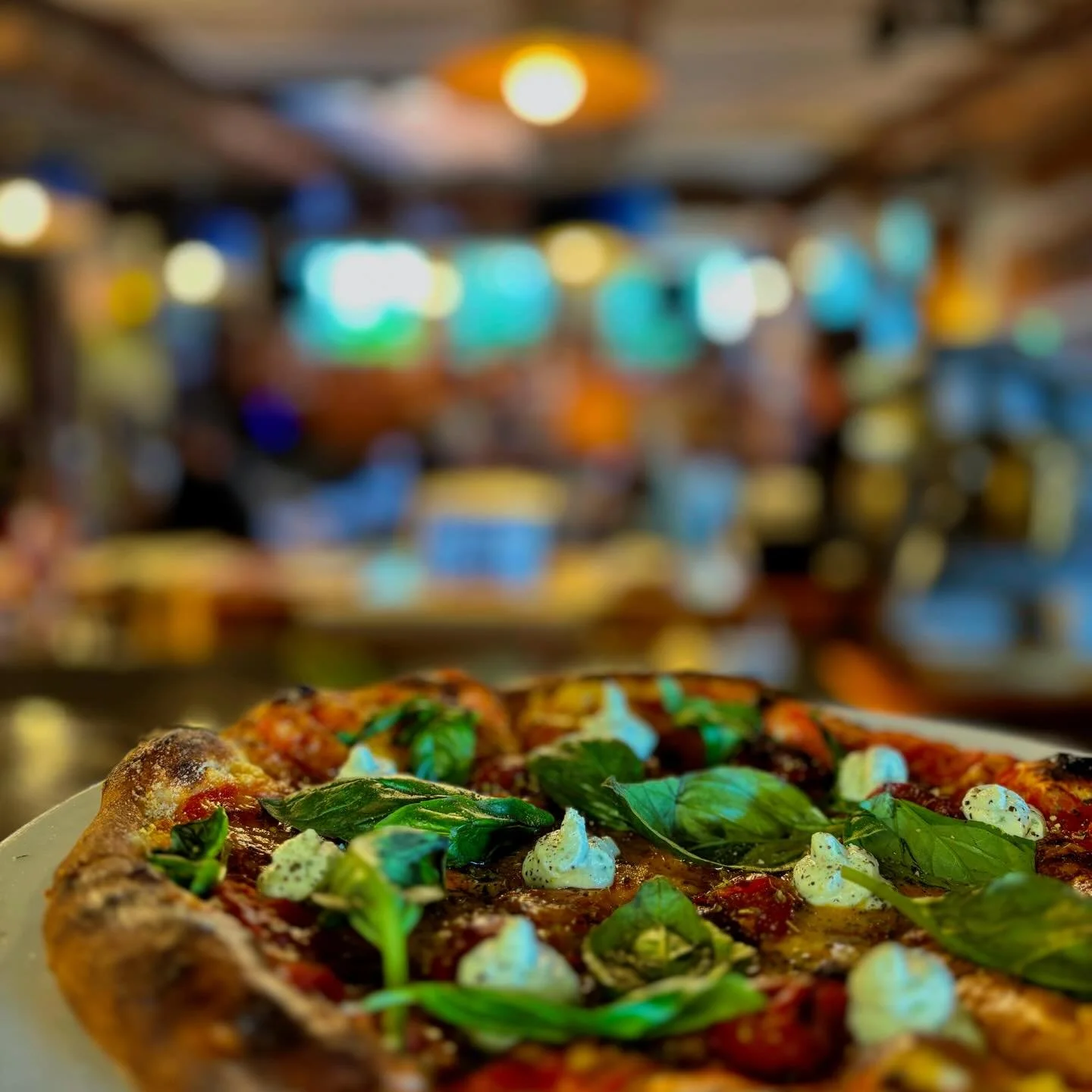 Pizzas are back
Summer menu is up online with plenty of specials rotating weekly 

Marguerita (named after Marguerite Guinness)
A simple classic with a sawmill twist 
Whipped basil Ricotta, Roasted tomatitos, oregano &amp; basil to garnish