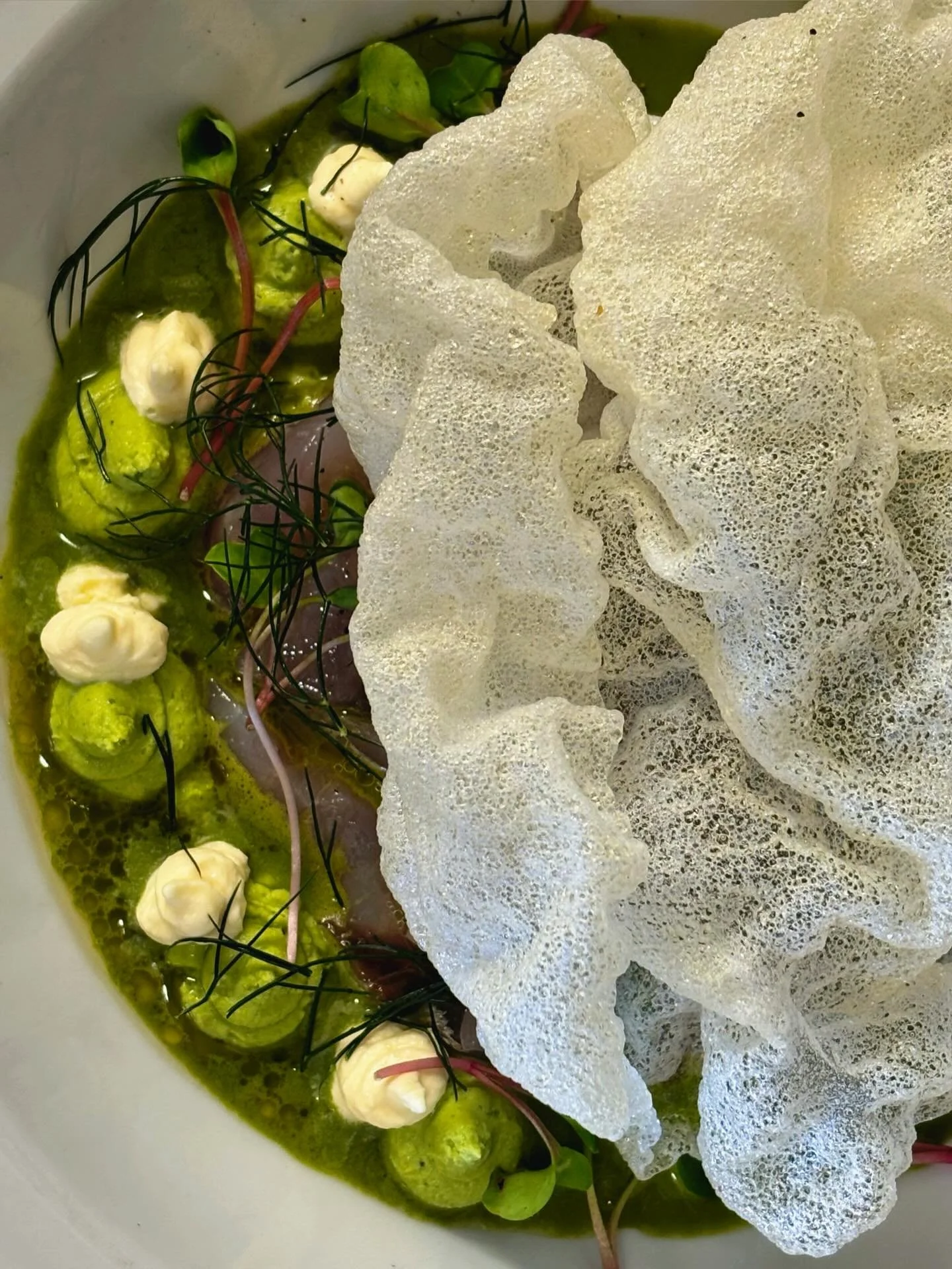 KAI | INU | MATES | TUNES