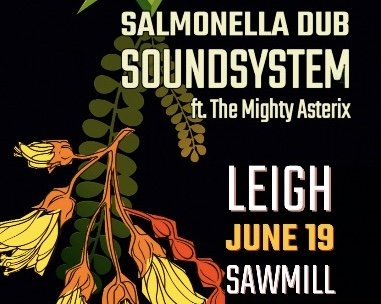 SALMONELLA DUB SOUNDSYSTEM
