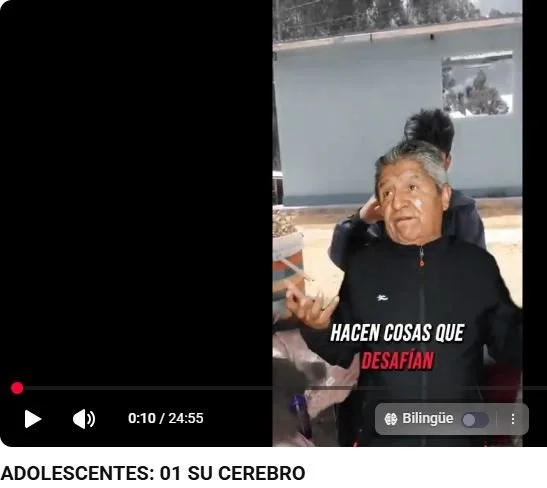 01 ADOLESCENTES : SU CEREBRO