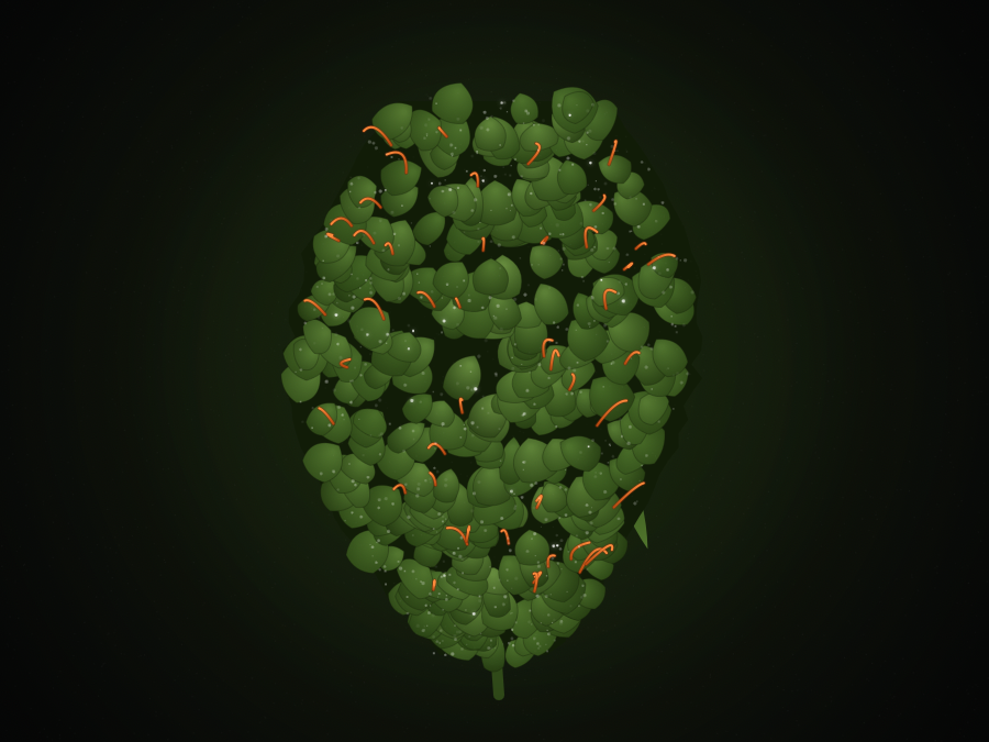 Herb and Turf