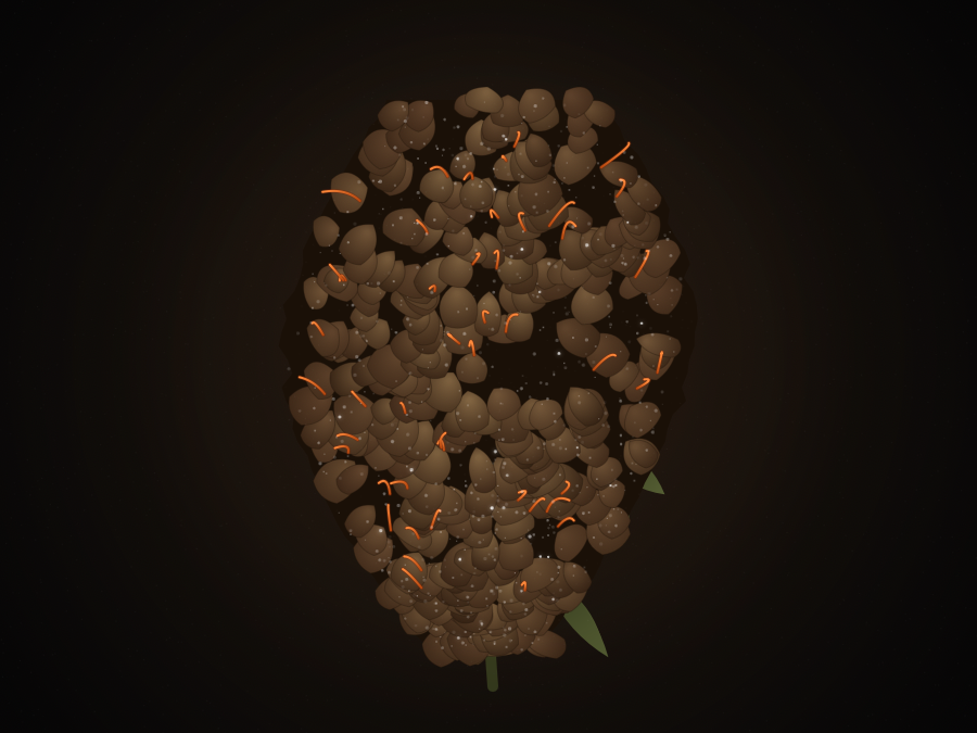 Military Chocolate