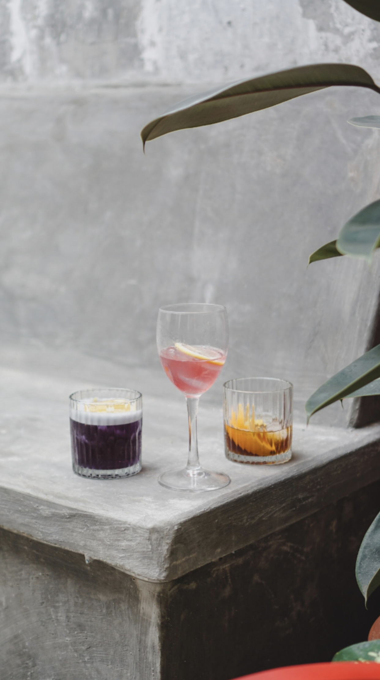 Concept Development & Branding